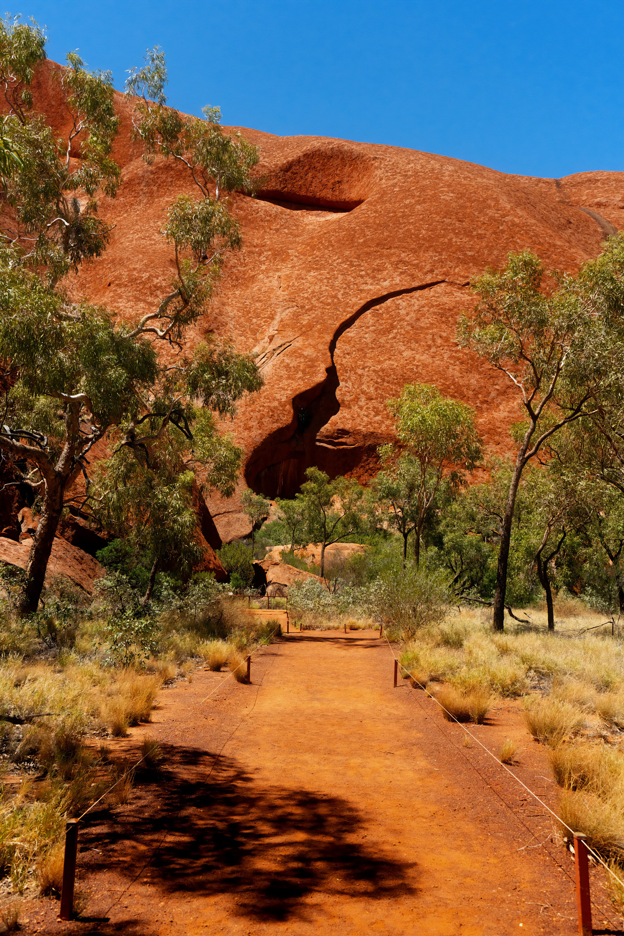 Австралия. Фотограф в Хабаровске. Фотография за 24 часа