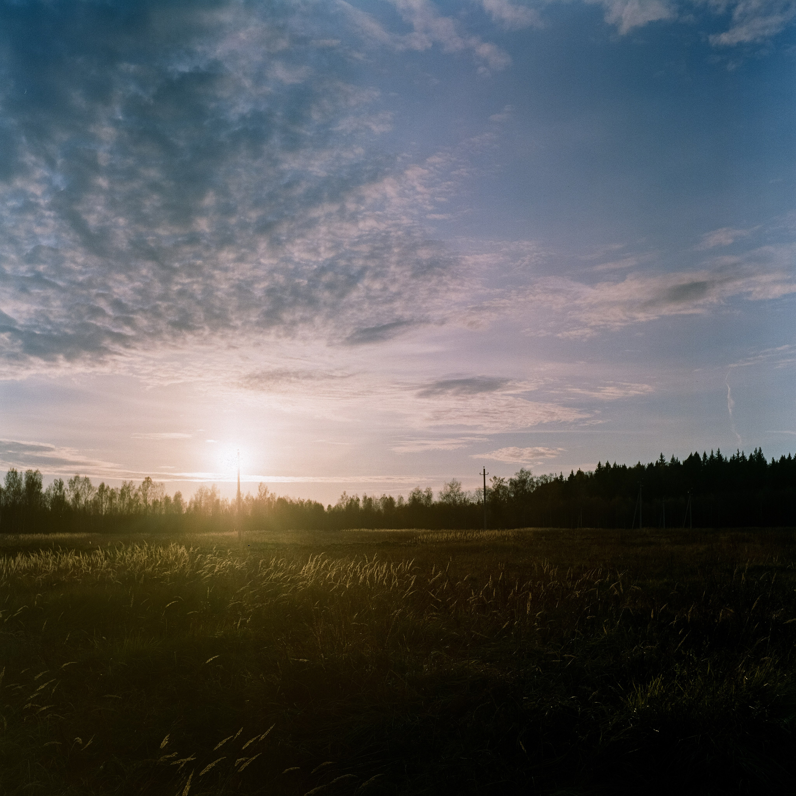 Rolleicord III–Xenar 75 mm f3.5 V / Fujicolor PRO 400H