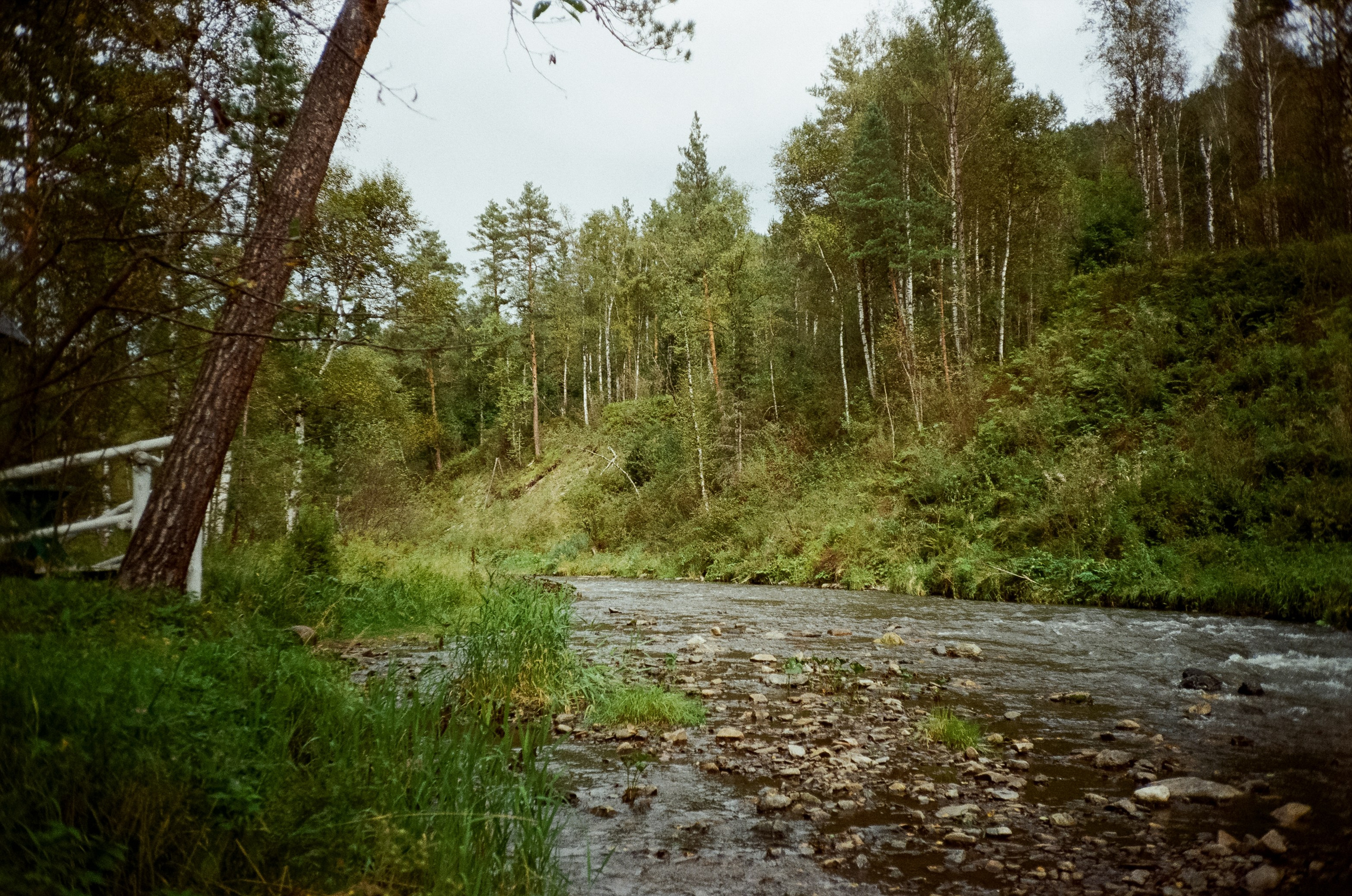 Алтай 08-09/2024