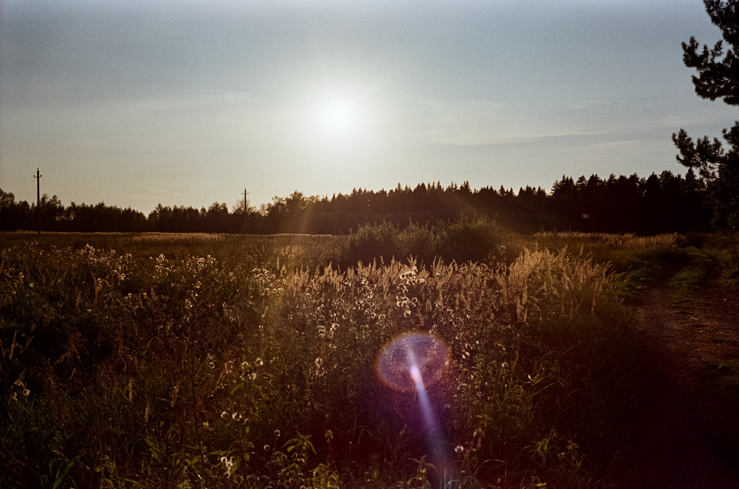 Minolta Hi-Matic 7SII примеры фотографий