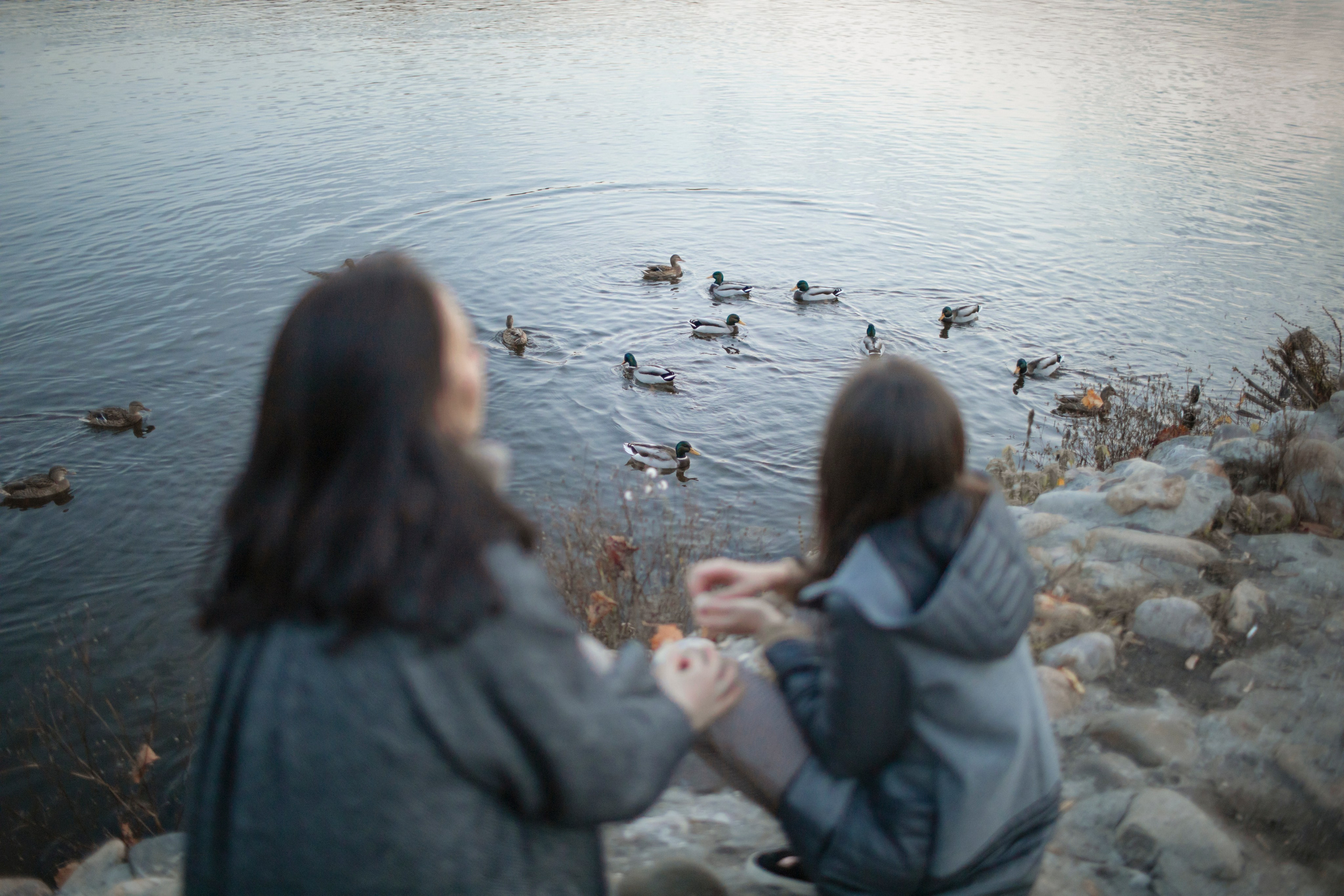 Осень. Спортивный фотограф в Москве