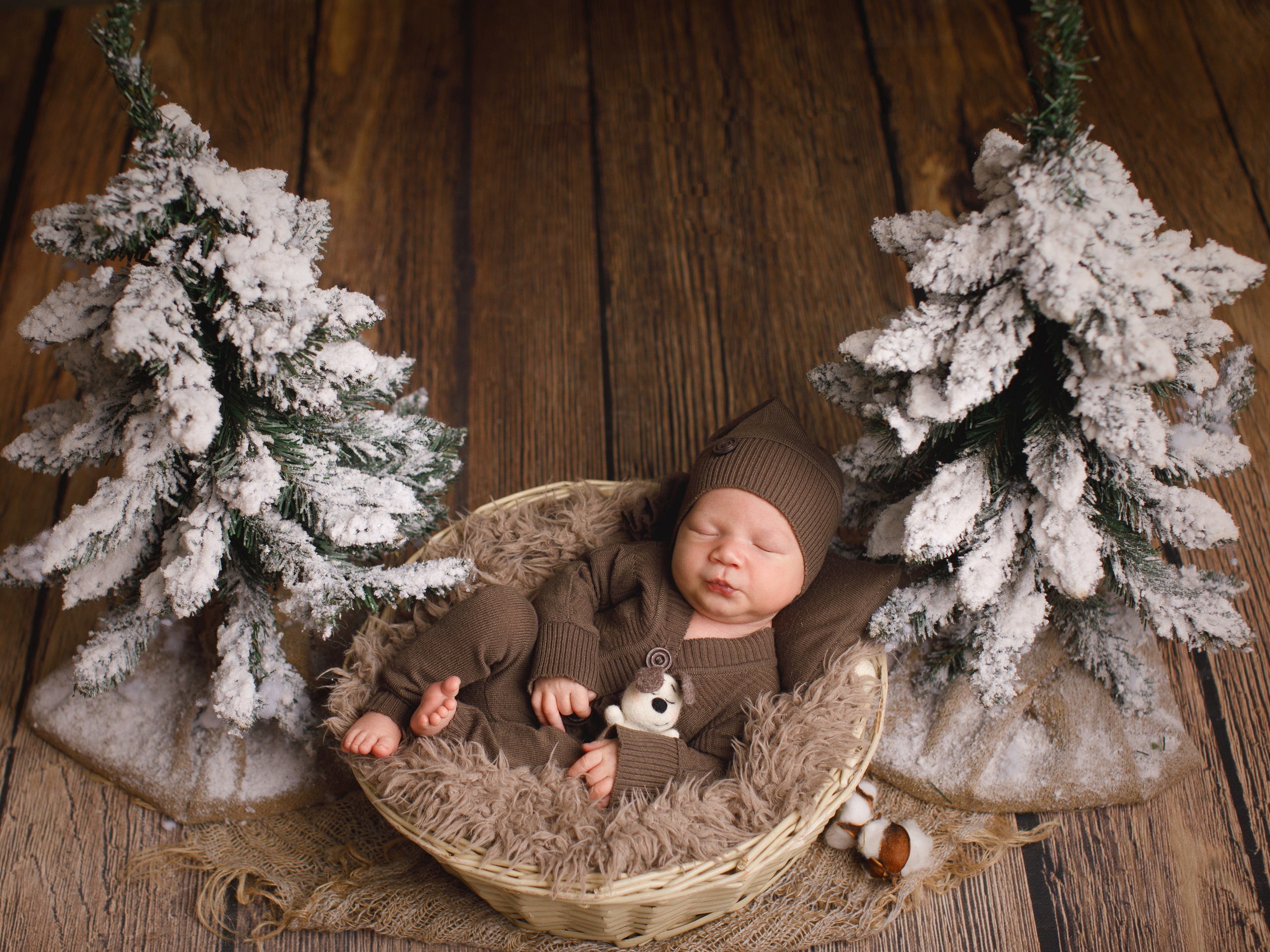 Портфолио фотосессия для новорожденных. Фотограф новорождённых и детей до года на КМВ