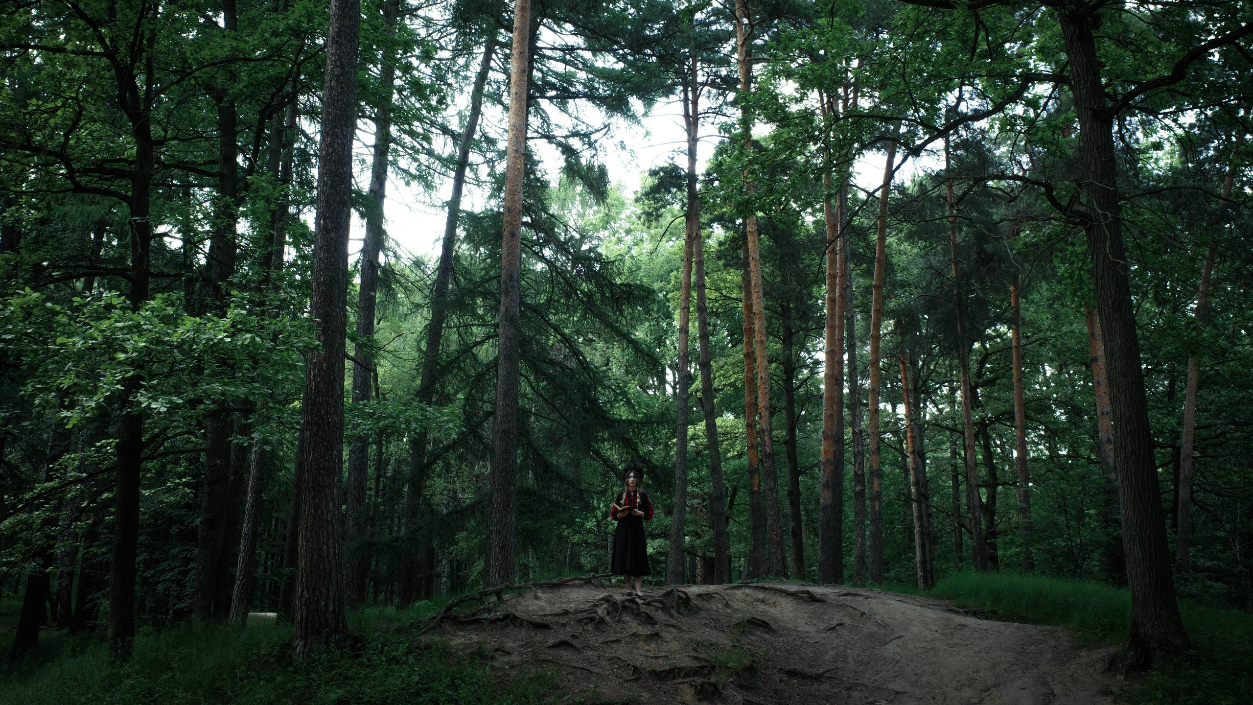 Фотография от MissClick