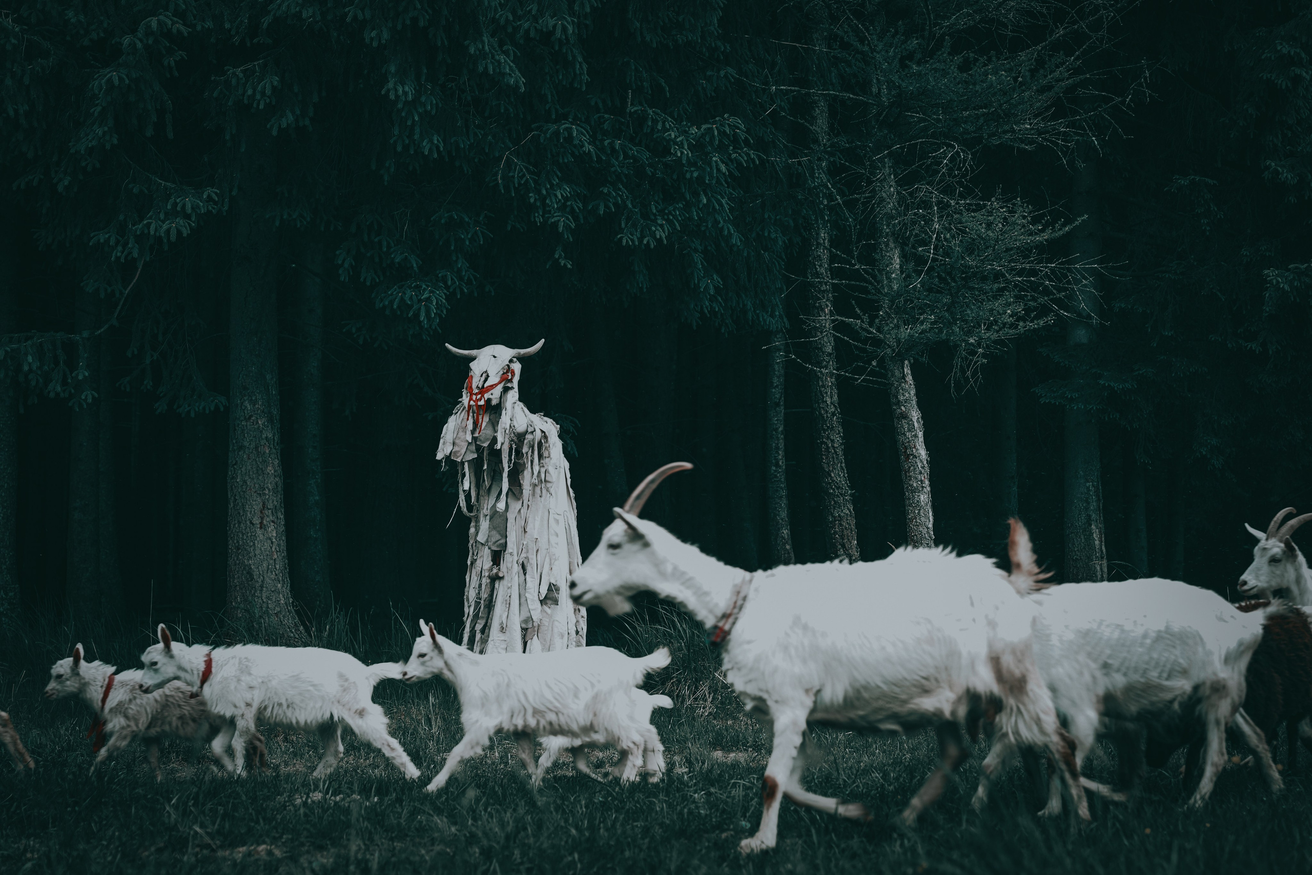 Театр SubRosa *персонажи. Портретный фотограф в Смоленске и Москве Мария Громова