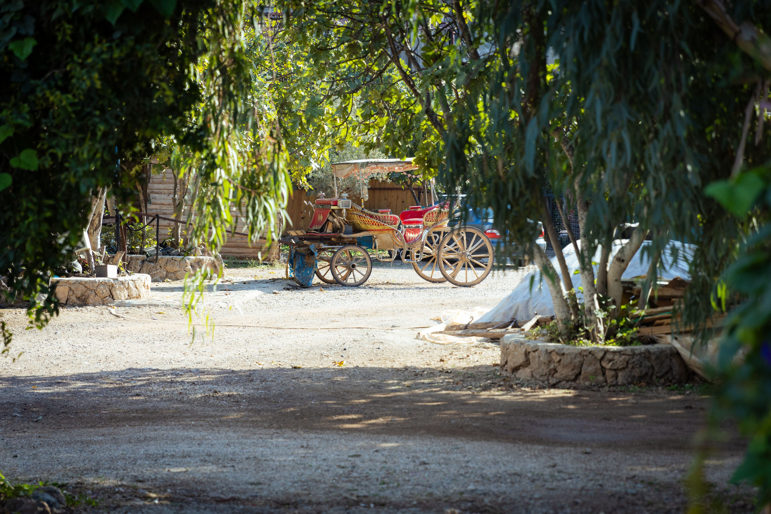 Турция (осень 2023). Фотограф Виноградов Константин