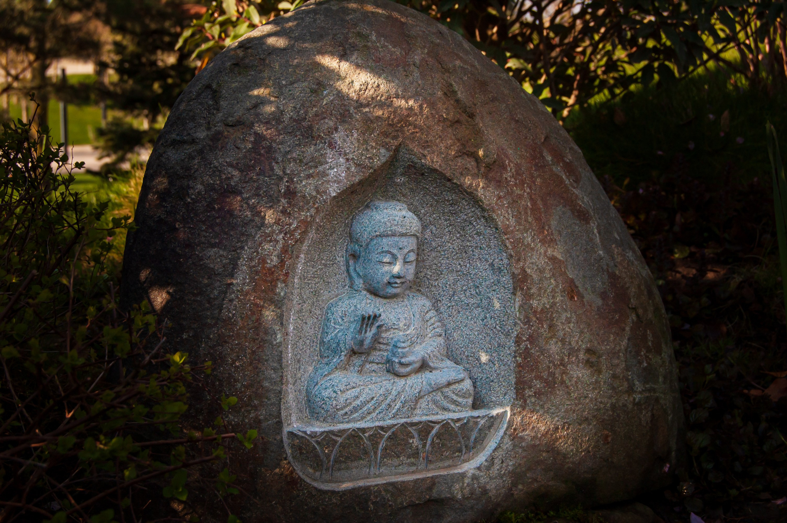 Фотосессия эстетики Японского сада в Краснодаре. Портретный фотограф в Краснодаре Слава Никитин