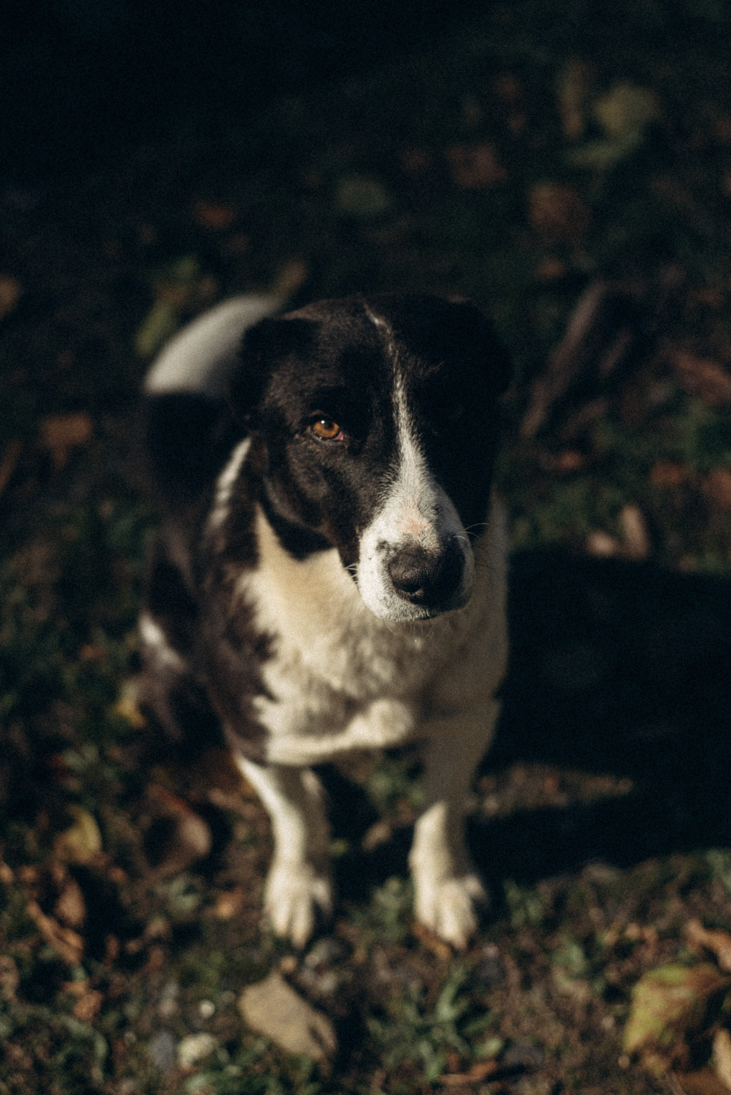 Конный поход 🇬🇪 «PVD Club». Anita_photo