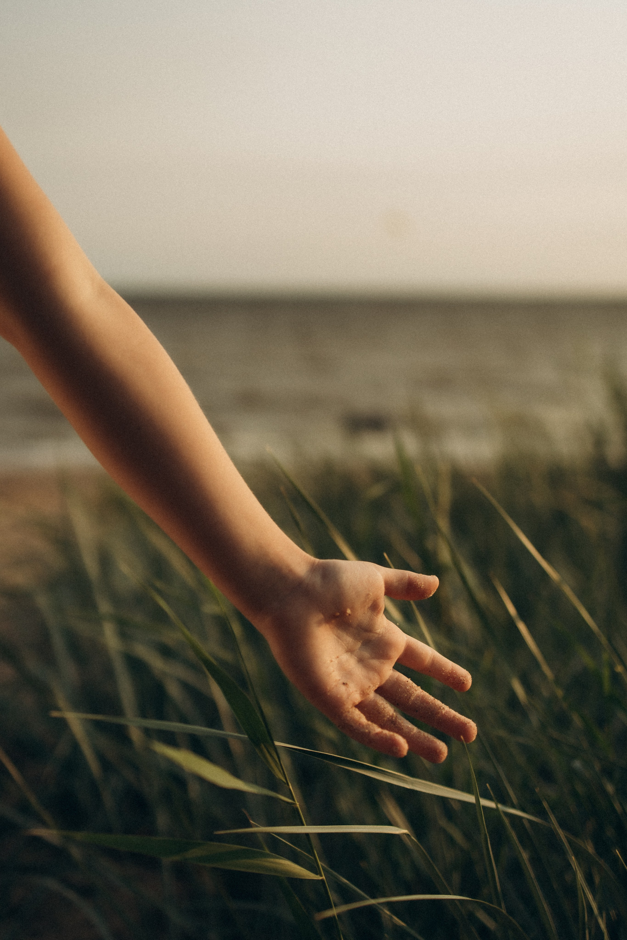 Катя и Ева. Семейный, домашний, ньюборн фотограф Москва Цветкова Елизавета