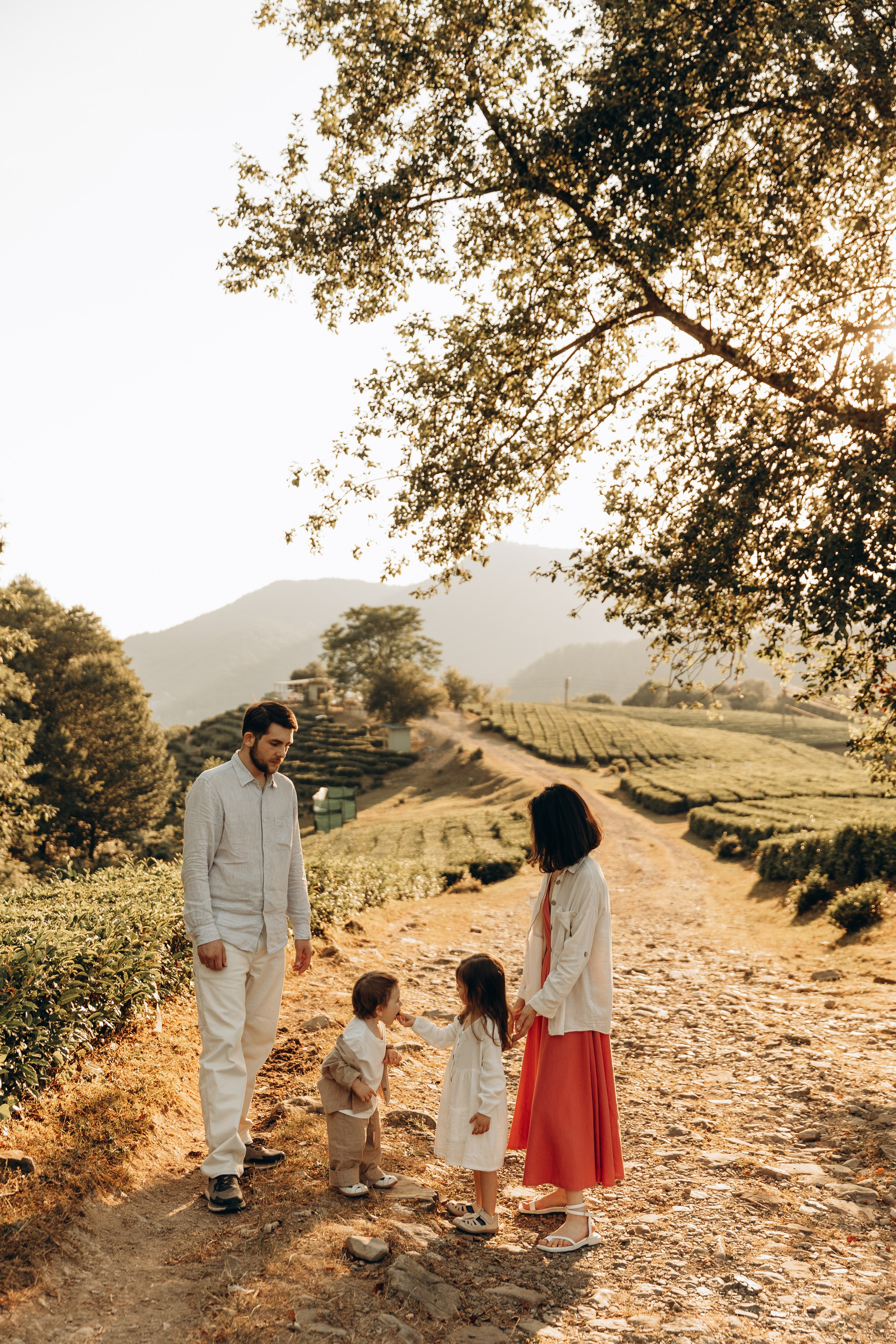 Чайные плантации. Семейный фотограф в Сочи Лашманова Ольга