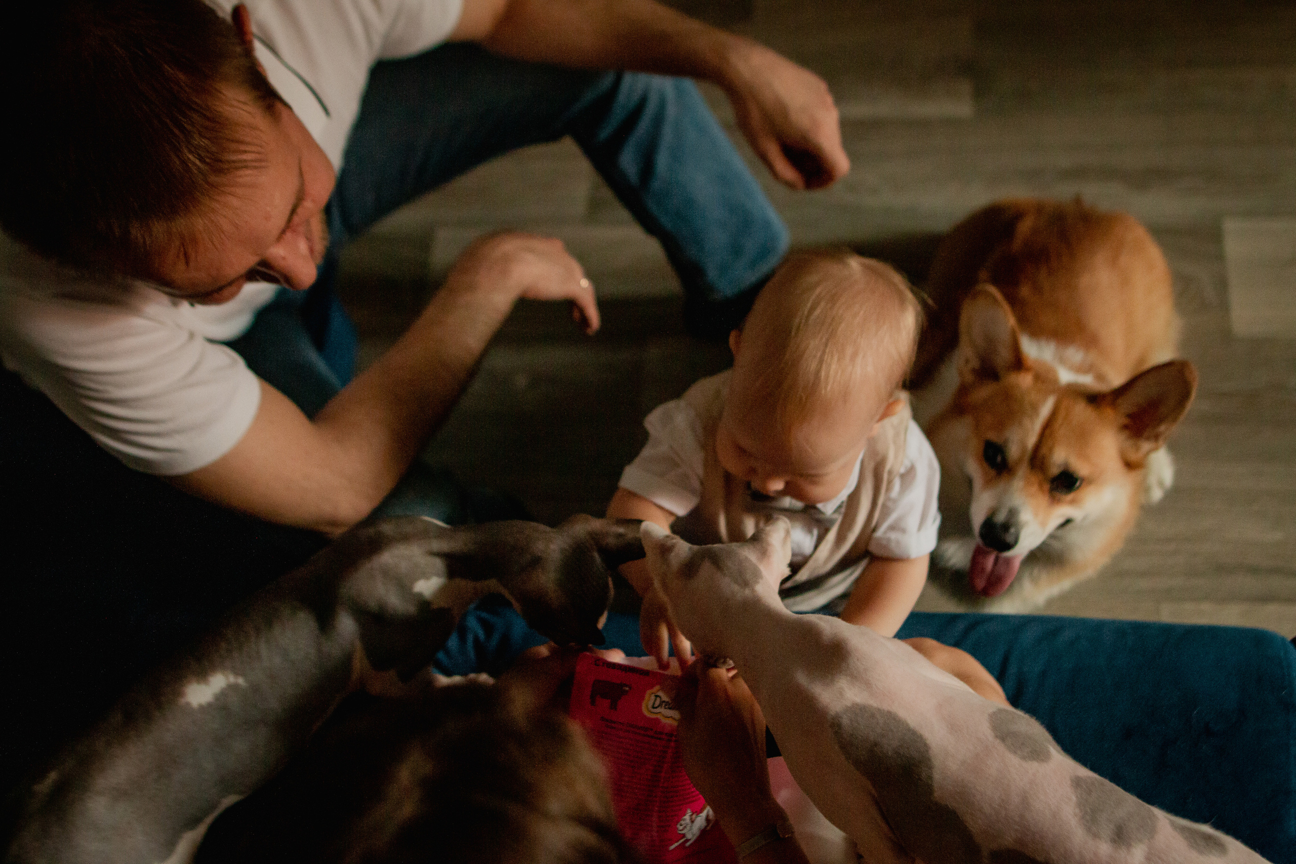 Семеро в квартире. Семейный фотограф в Рязани Харламова Влада