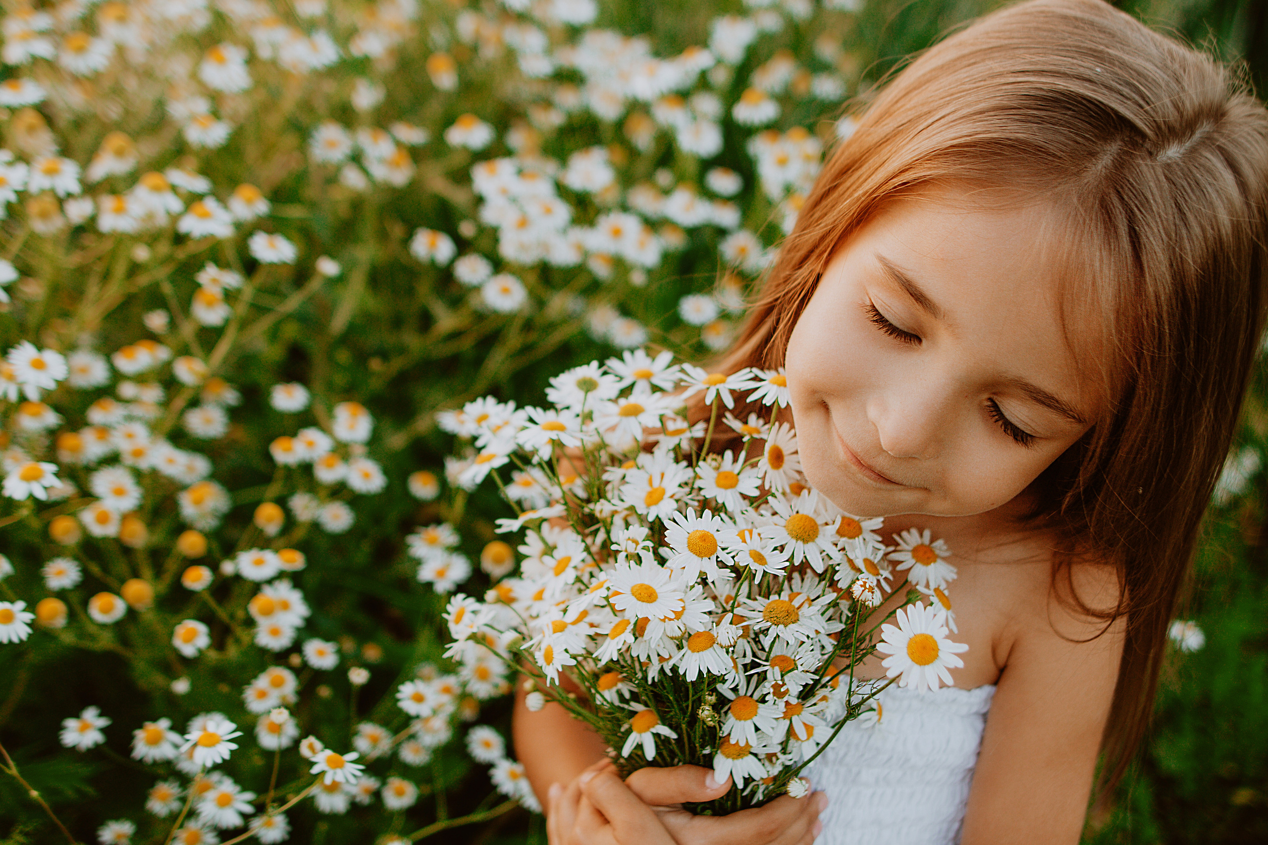 Девочка в ромашках. Семейный фотограф в Рязани Харламова Влада