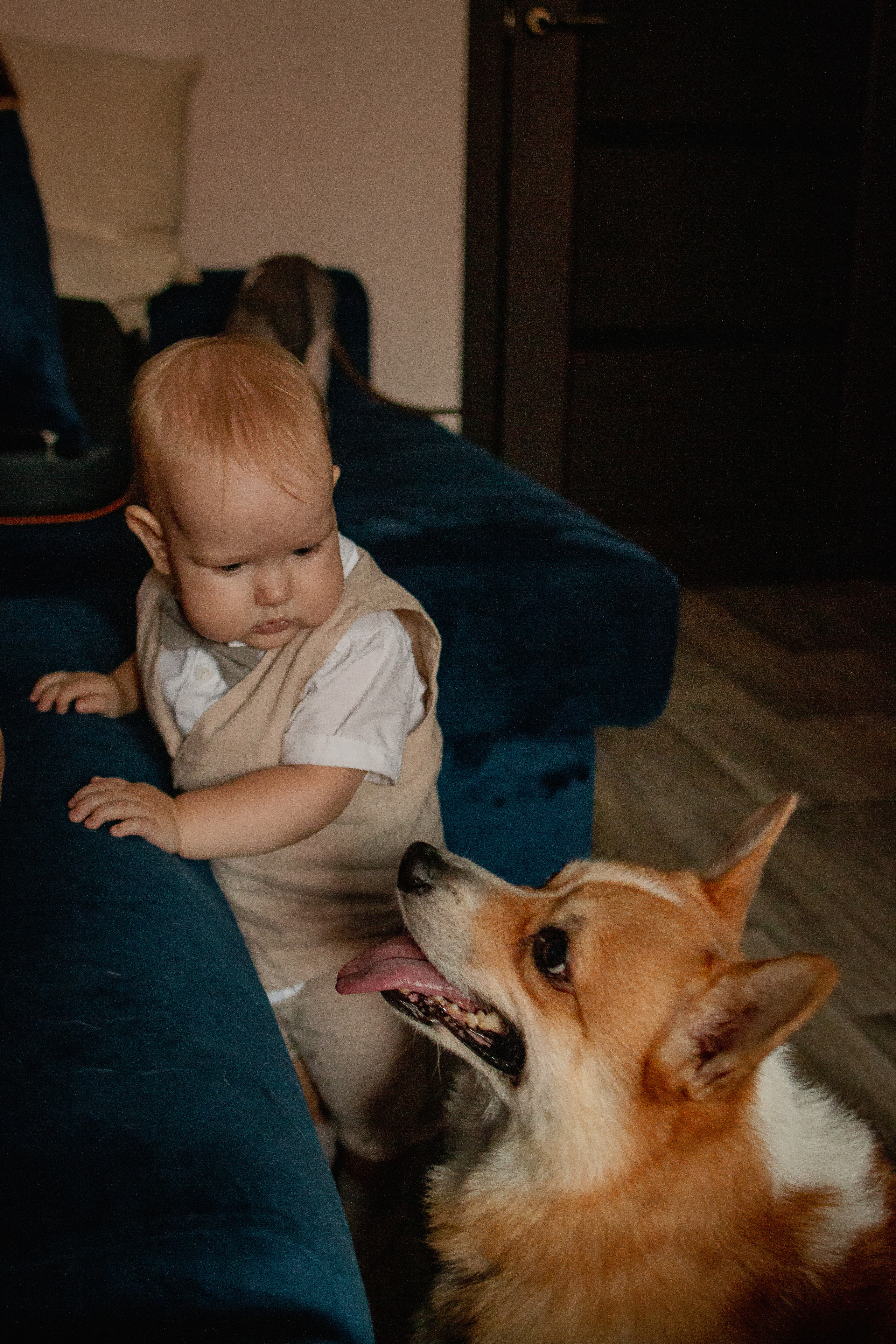 Семеро в квартире. Семейный фотограф в Рязани Харламова Влада