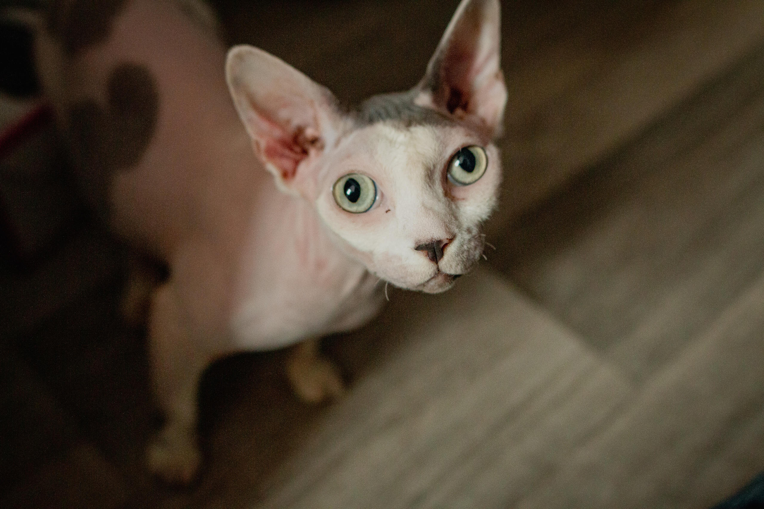 Семеро в квартире. Семейный фотограф в Рязани Харламова Влада
