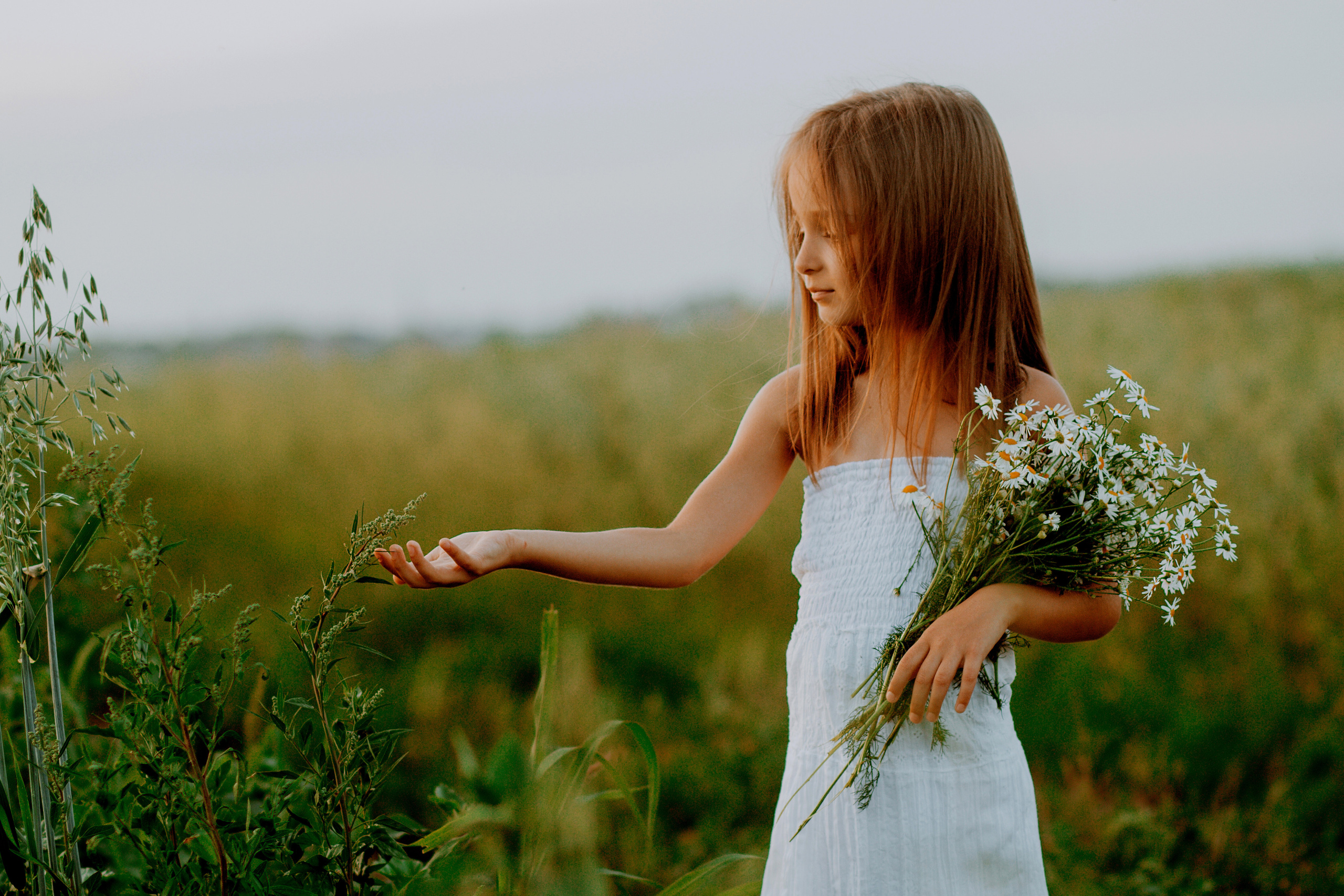 Девочка в ромашках. Семейный фотограф в Рязани Харламова Влада