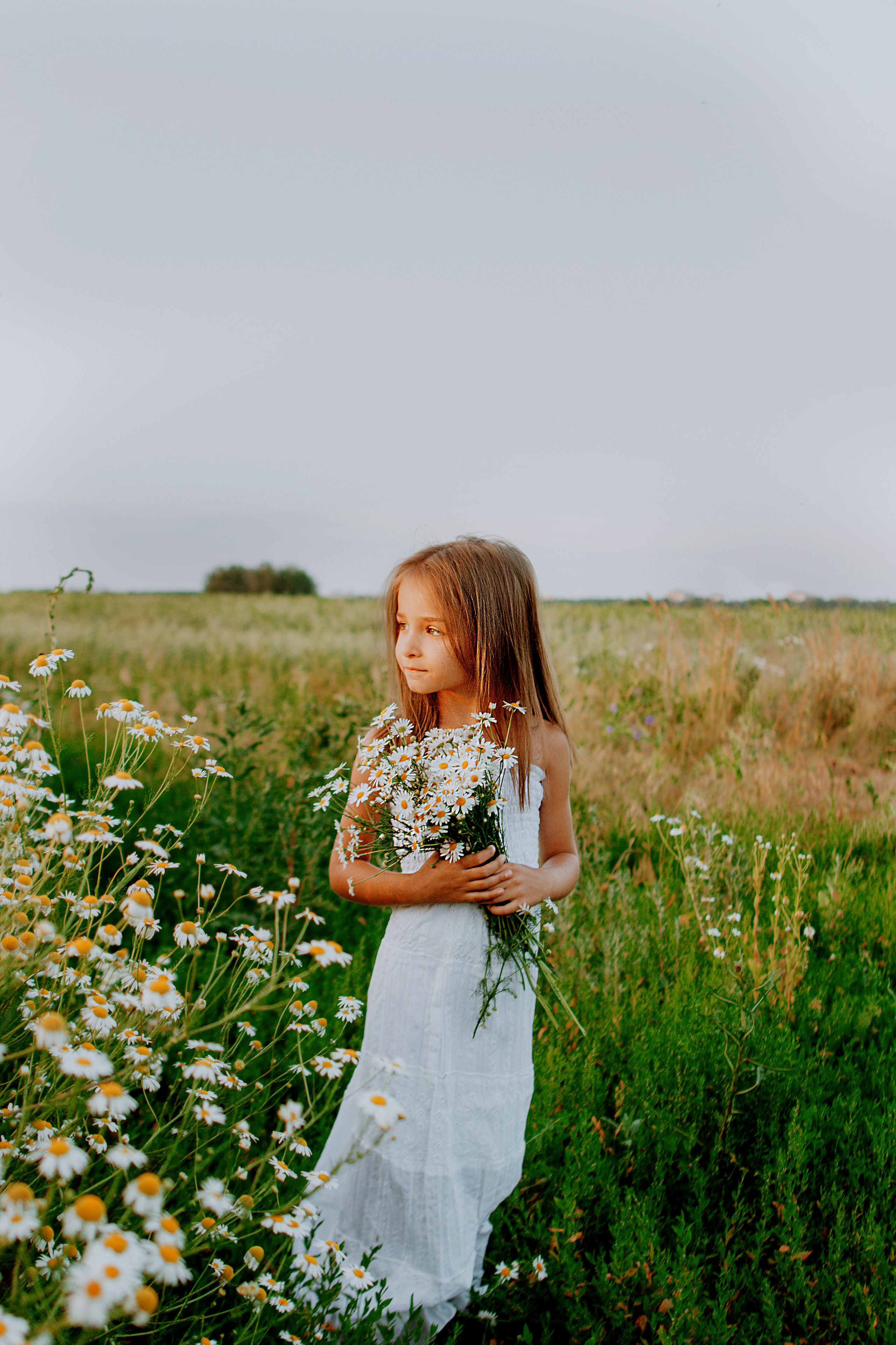 Девочка в ромашках. Семейный фотограф в Рязани Харламова Влада