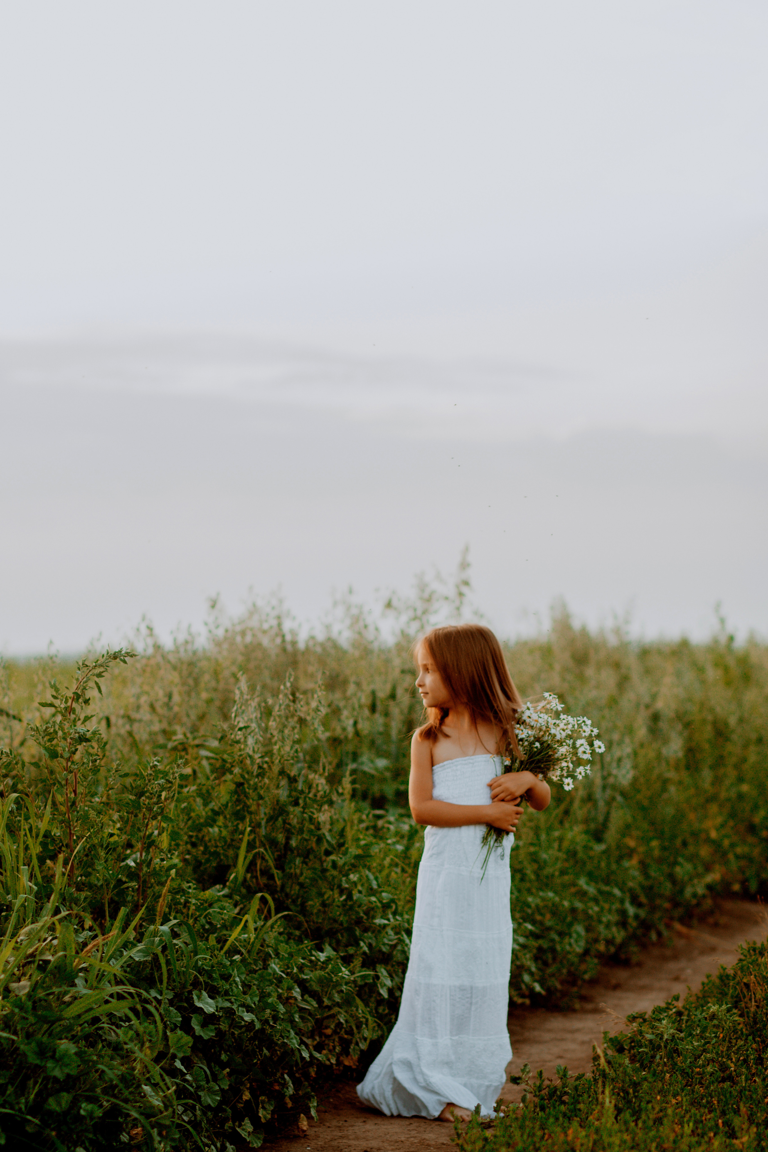Девочка в ромашках. Семейный фотограф в Рязани Харламова Влада