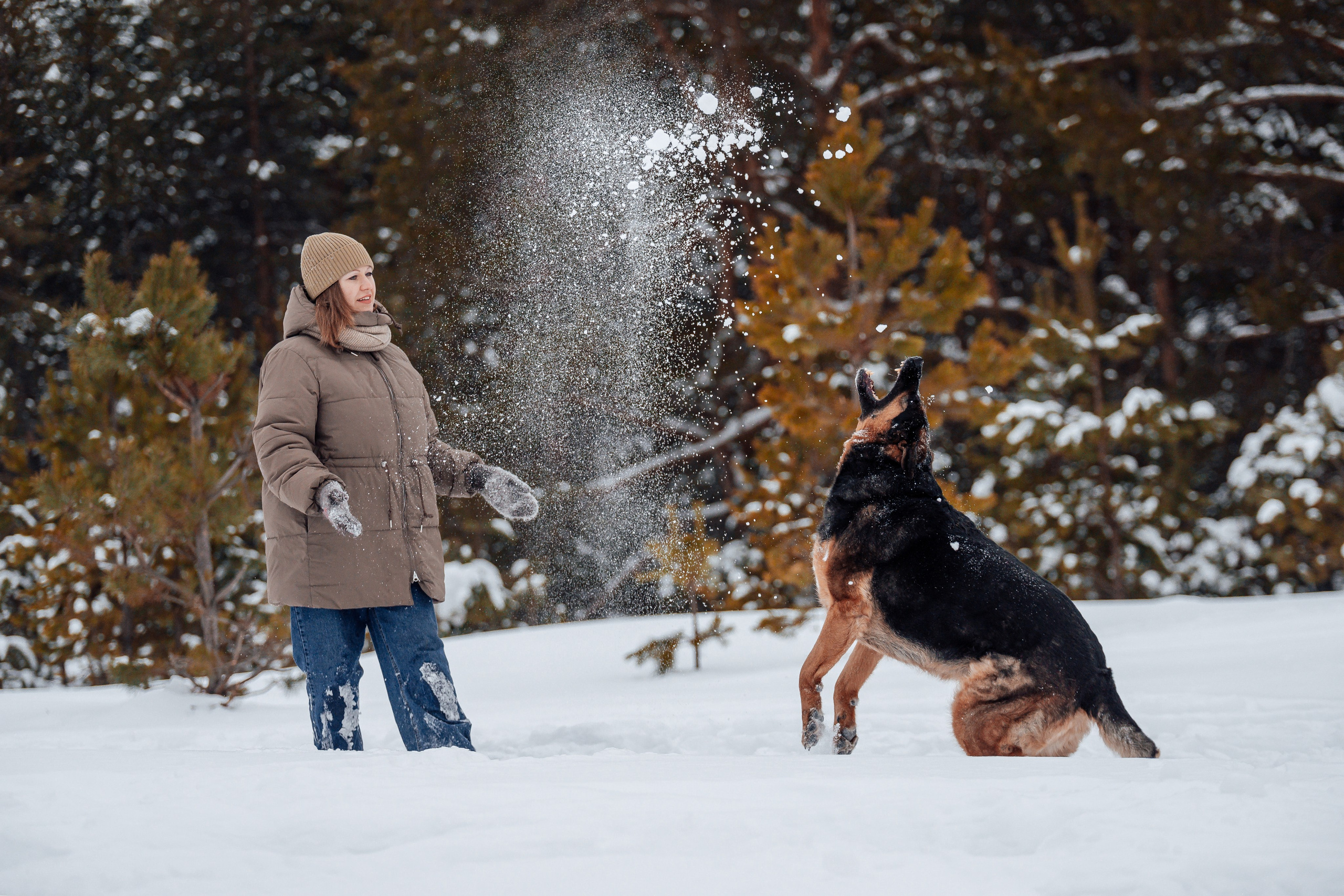 Светлана, Альфа и кошки ✨. Фотограф-анималист Анастасия Парфенова|Екатеринбург