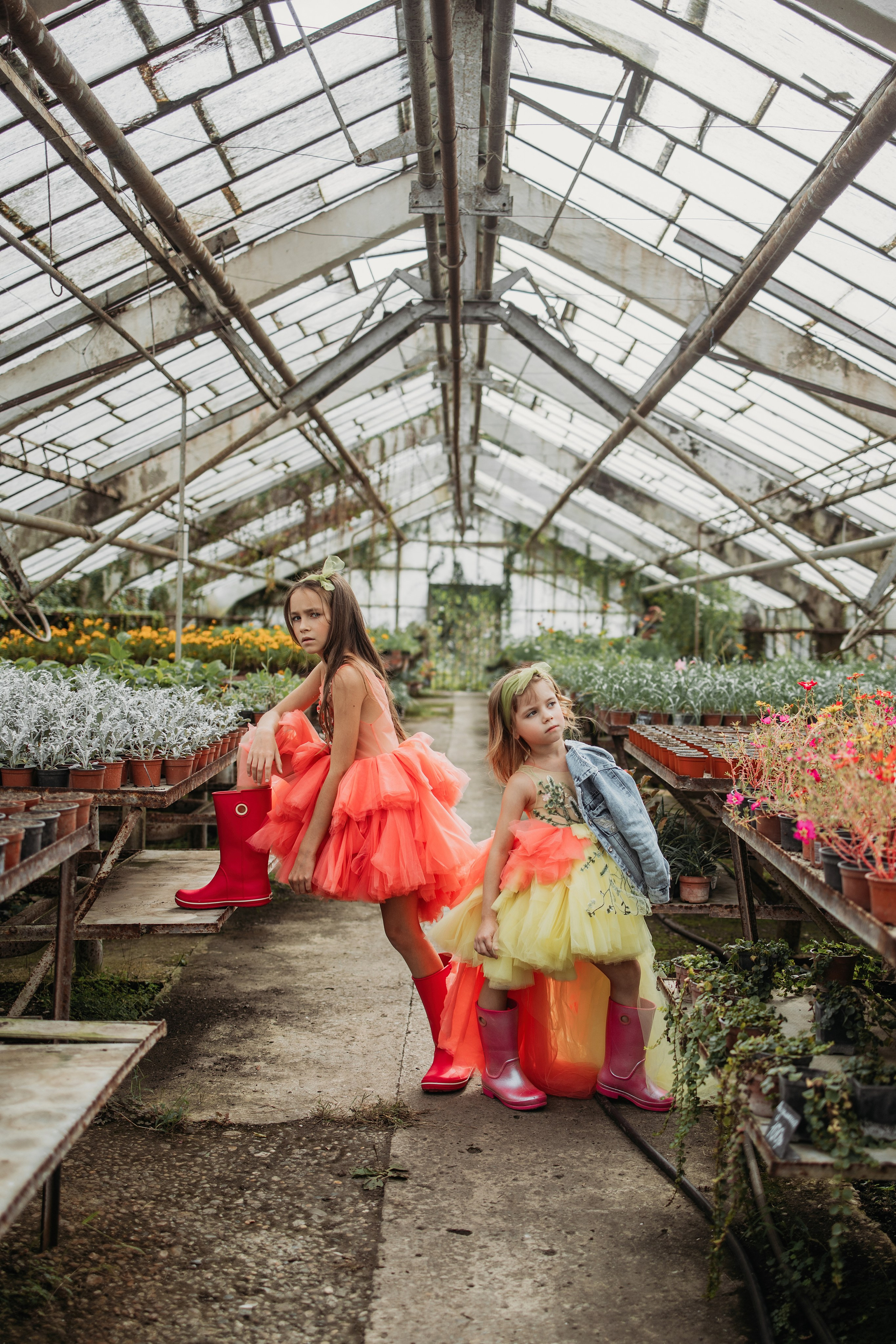 Теплица мацеста. Фотограф Сочи Татьяна Зорина