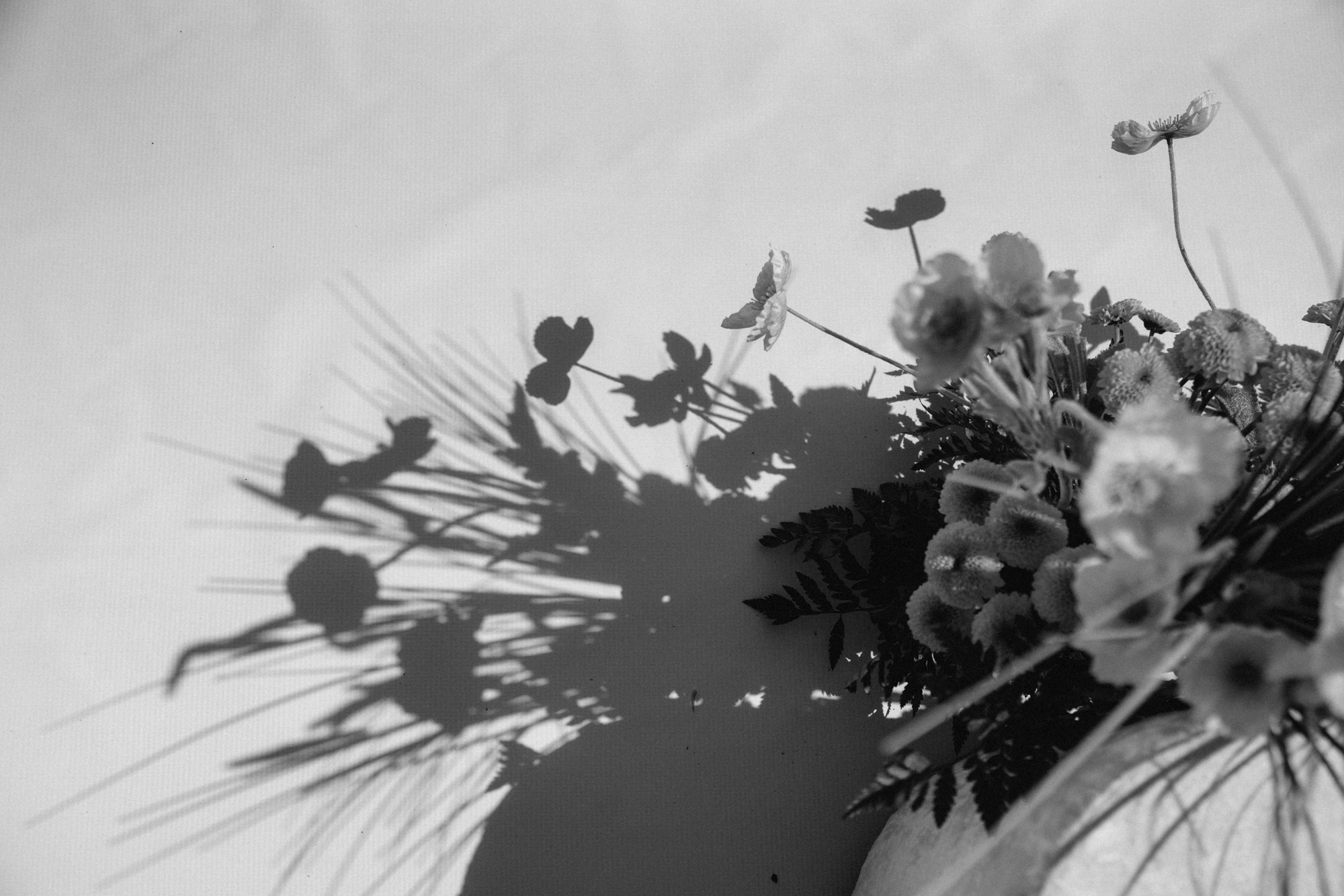 Когда мечты обретают смысл…. Свадебный и семейный фотограф в Абакане Василевский Алексей