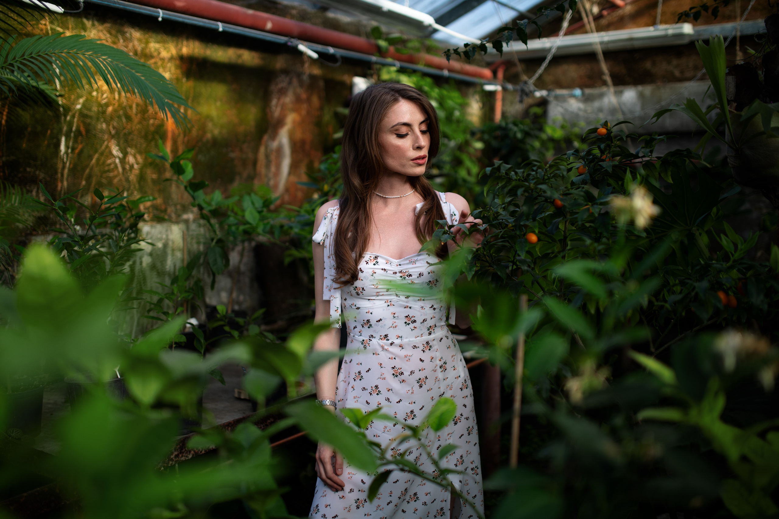 Фотосессия с Надеждой с люпинами в формате «для себя». Дмитрий Шульгин, портретный фотограф в Воронеже