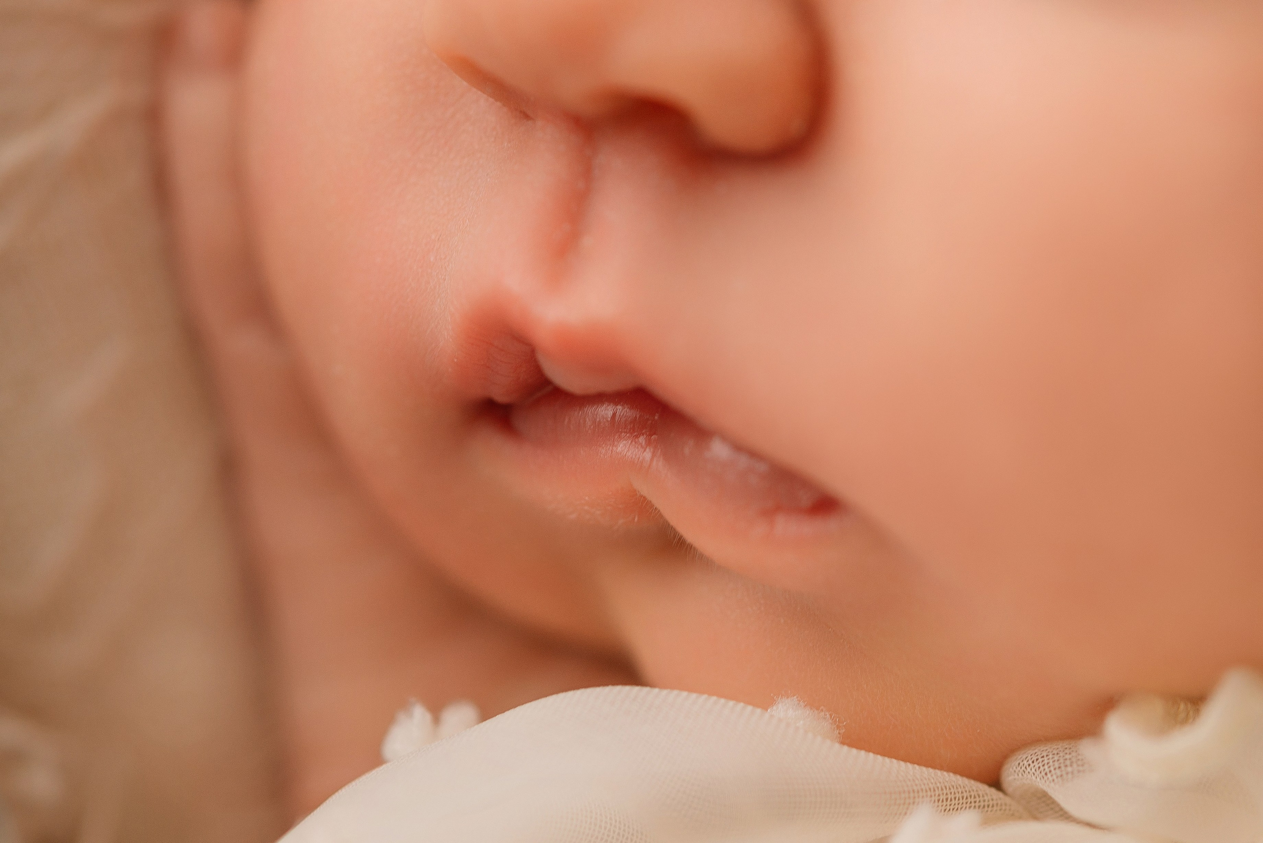 Варя. Фотограф новорожденных Белгород