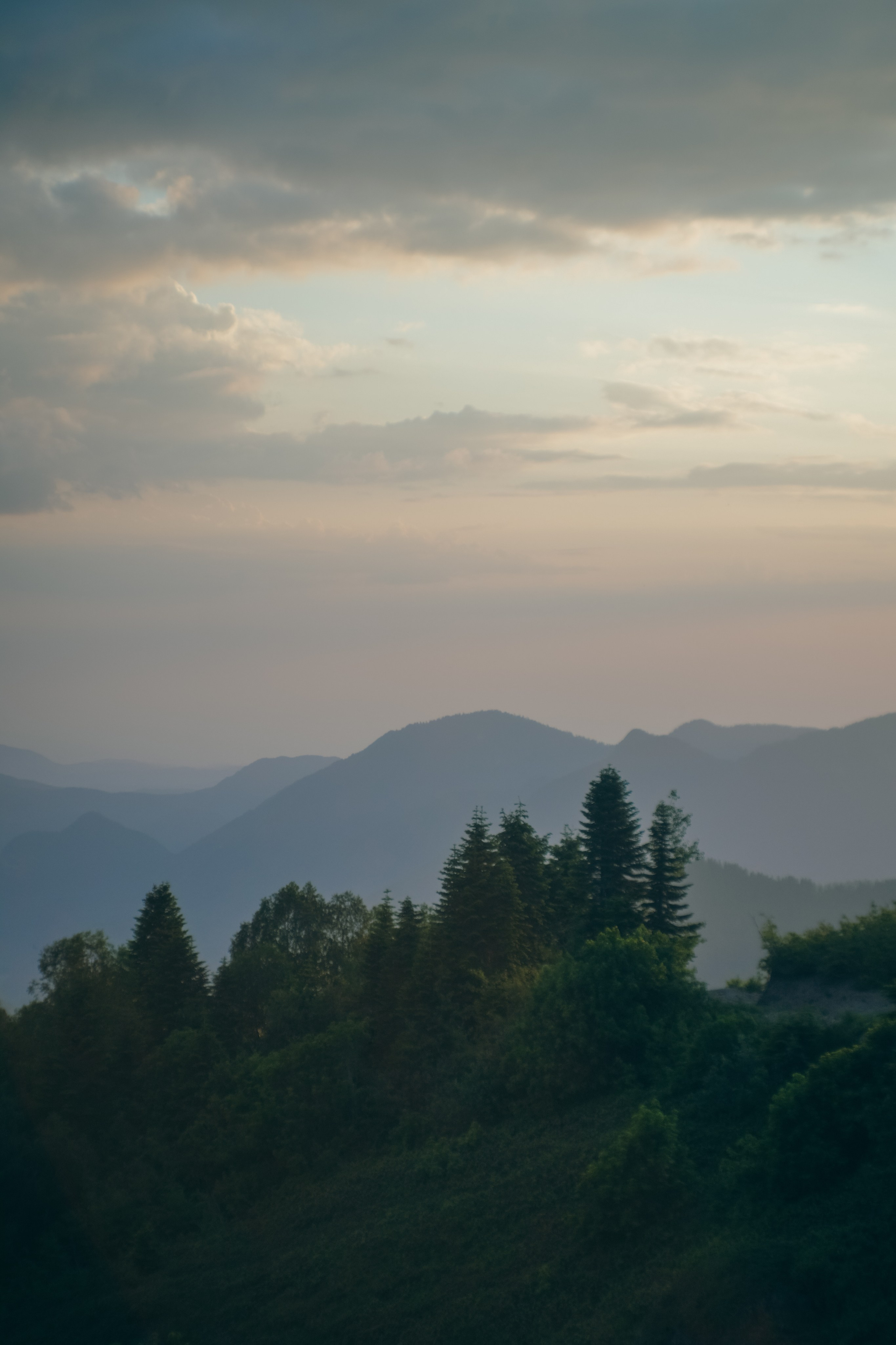 Нахазо ✽ Июль. Репортажный фотограф | Роза Хутор Красная Поляна Сочи Сириус