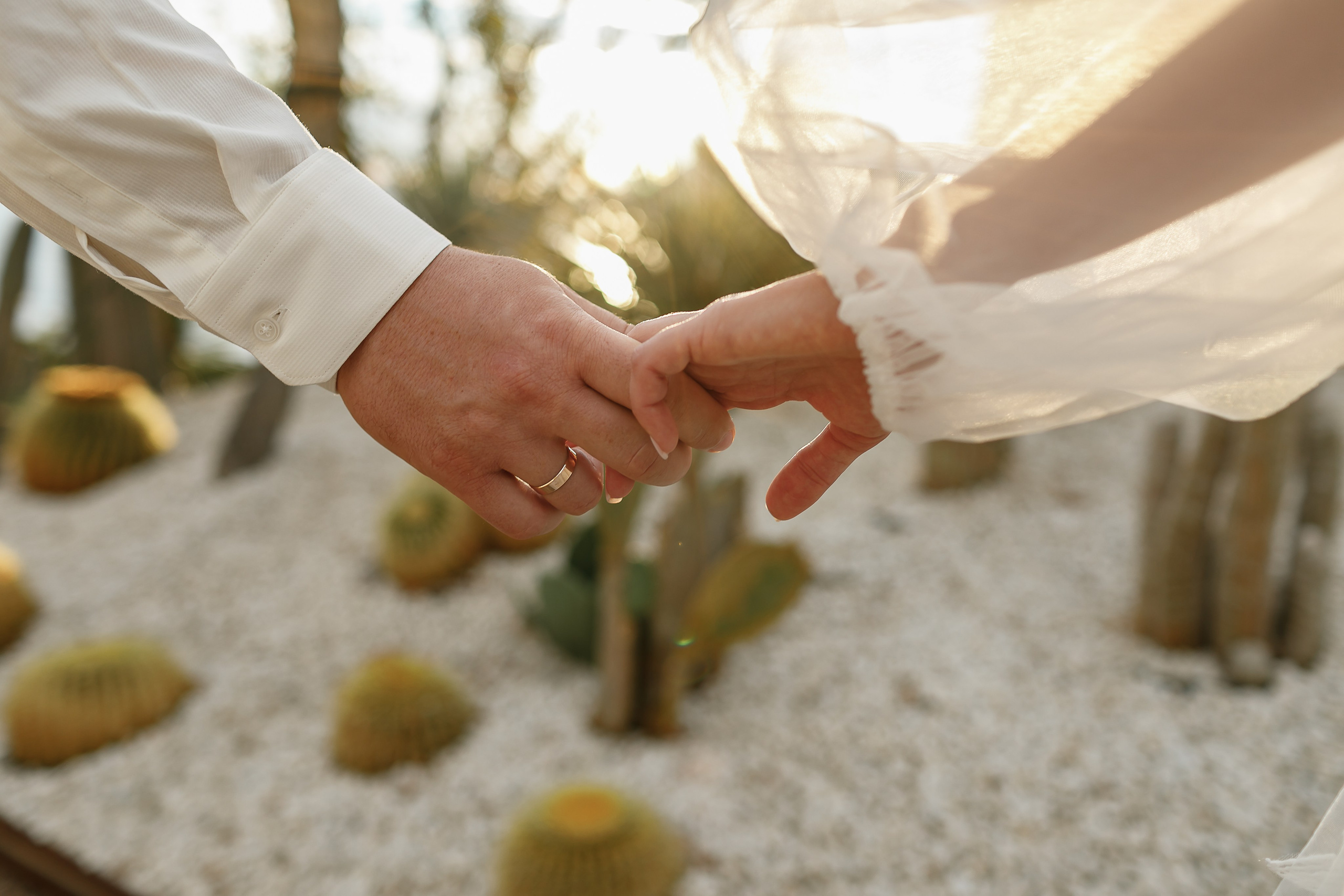 Свадьба Женя и Влада. Крым фото, отдых Крым, Севастополь фото, Свадьба фото, Олег Горбатко