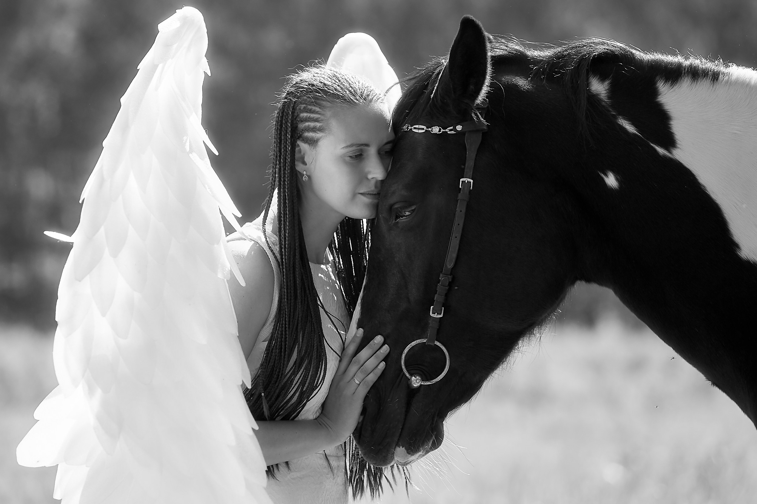Фотосессия с лошадьми Фотограф Михаил Семенов