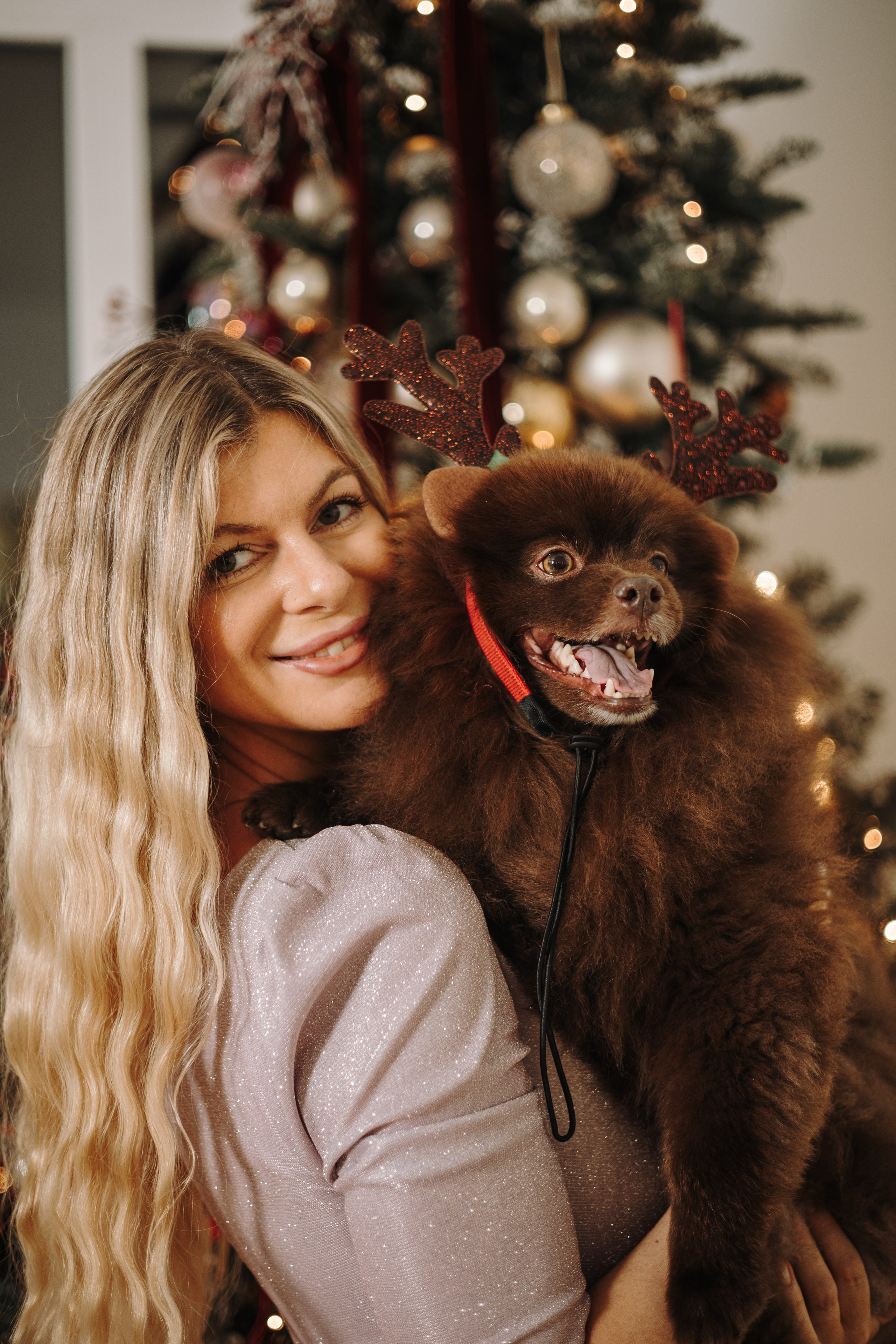 Новогодний фото день. Фотограф животных Евгения Верцинская