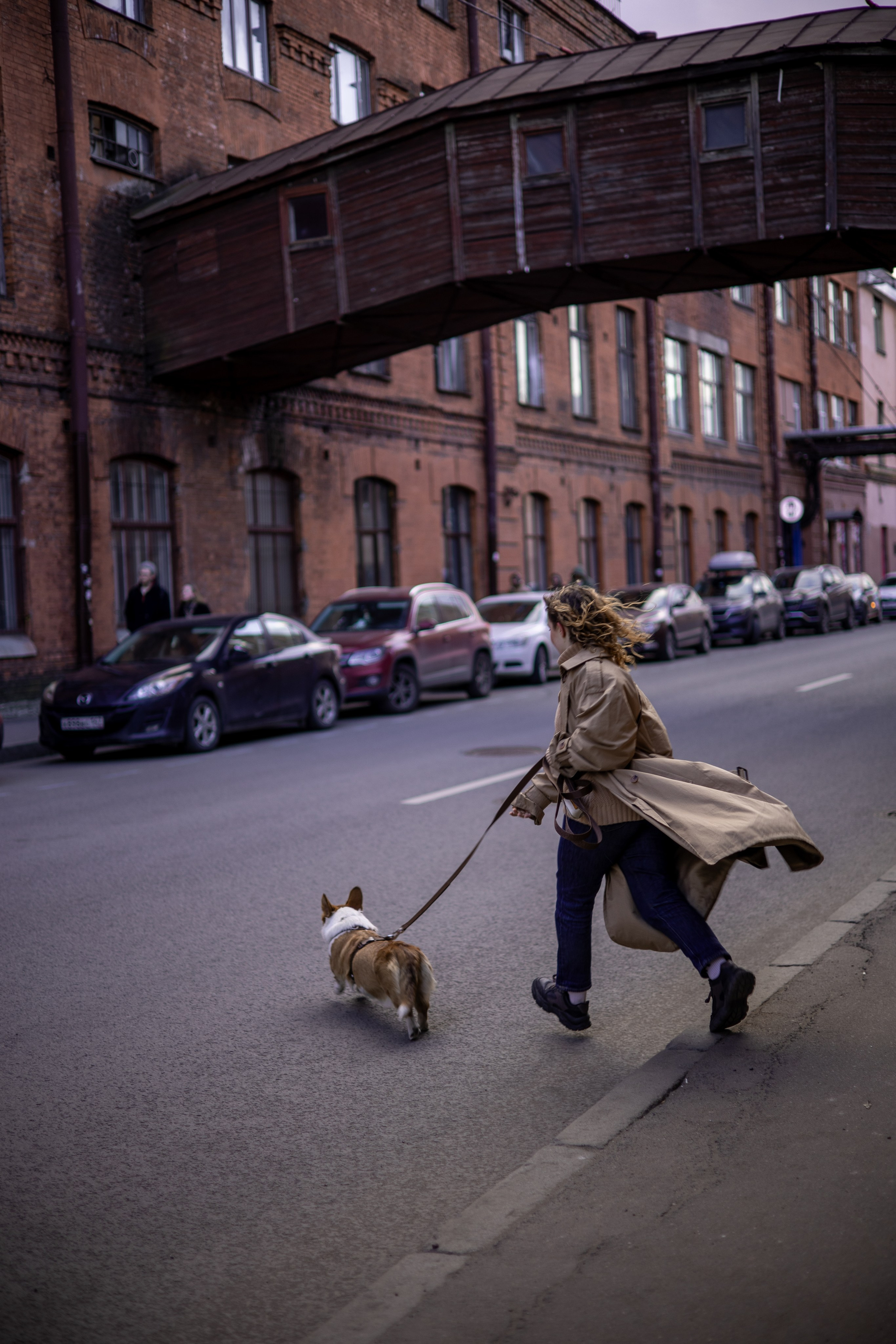 Фотограф животных Евгения Верцинская