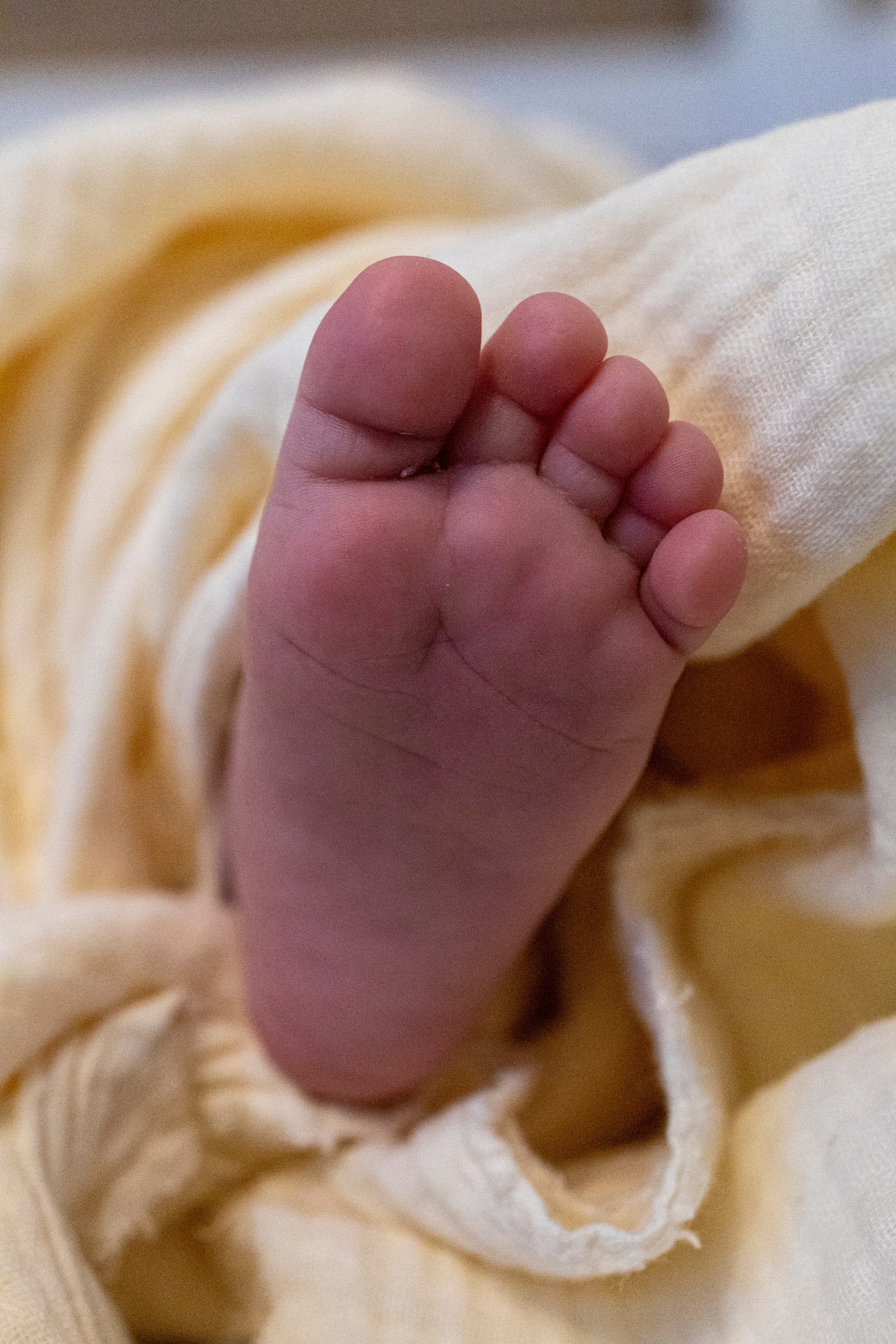 Ира, Арина, Миша. Ваш фотограф в Санкт-Петербурге