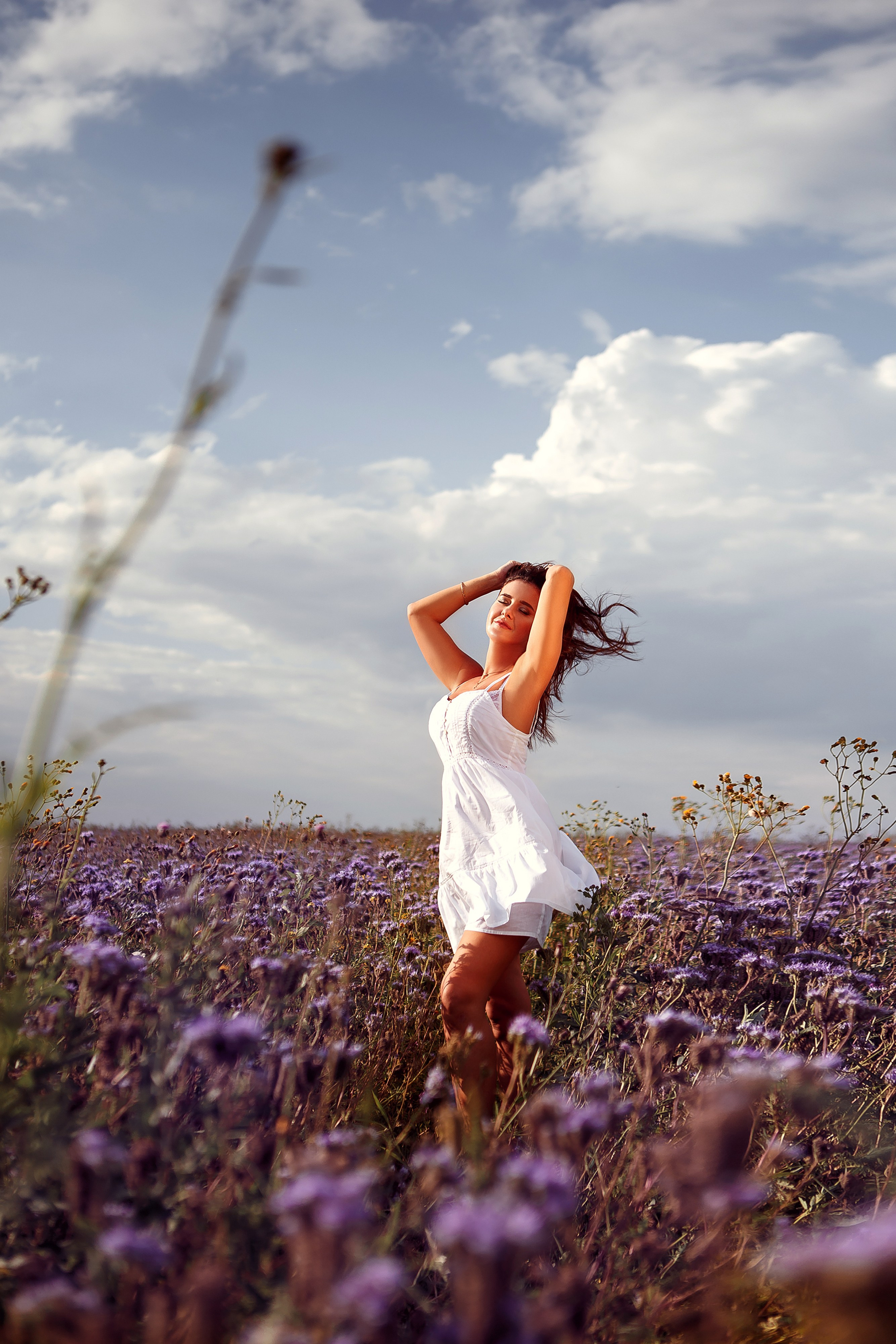 Поля сиреневые. Фотограф в Иваново и других городах Ирина Сметанкина