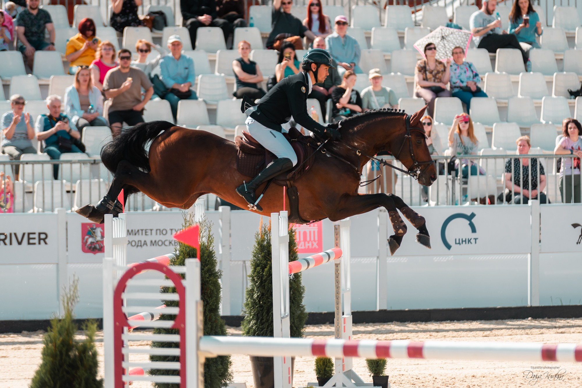 BITRIVER CUP 2023. Конный фотограф Куракина Дарья • Фотосессии с лошадьми