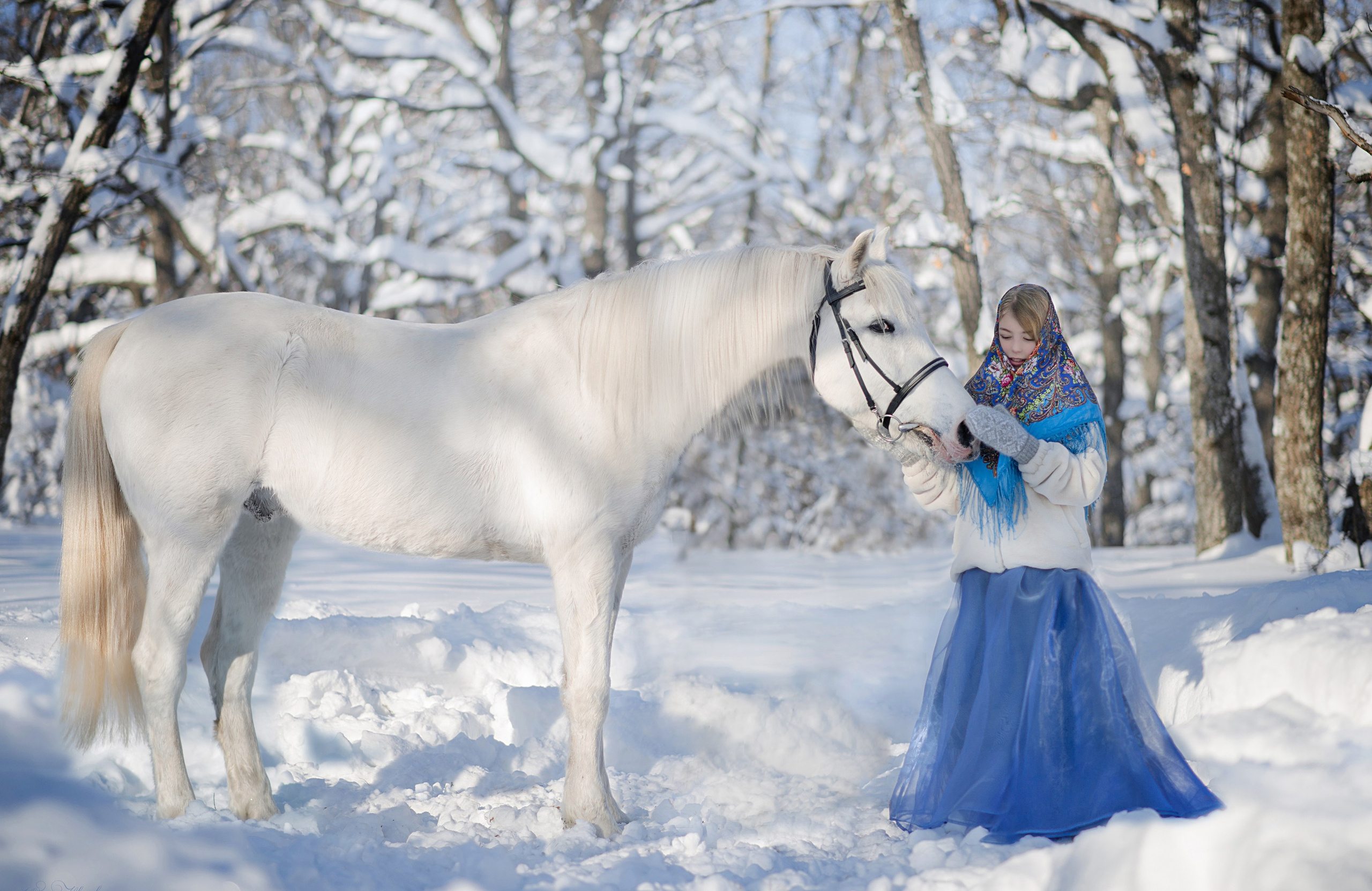 Фотодень с  Каспийцем. Конный фотограф в Саратове Юлия Иванова