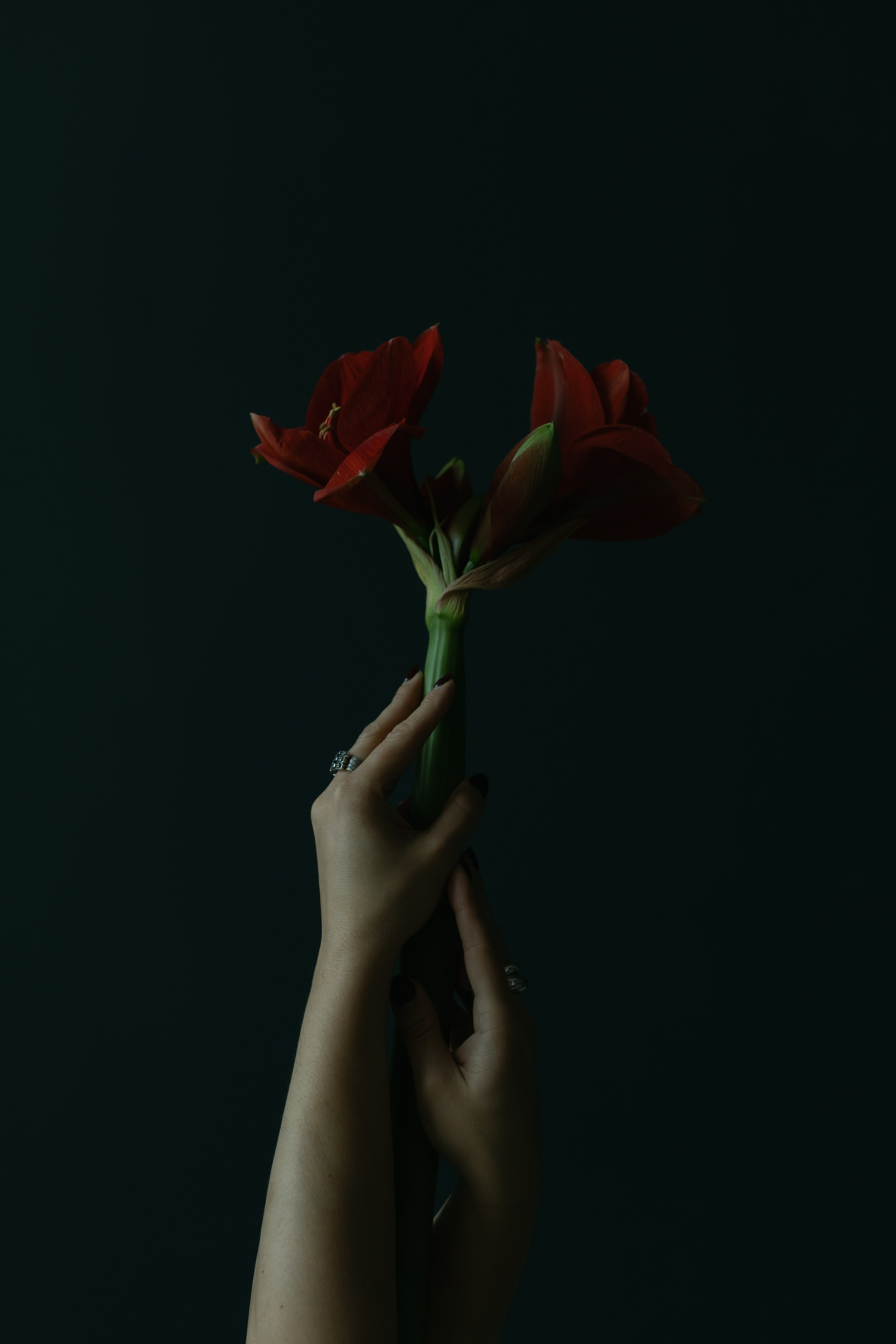 Фотодни. Портретный творческий фотограф в Москве Надя Дудник