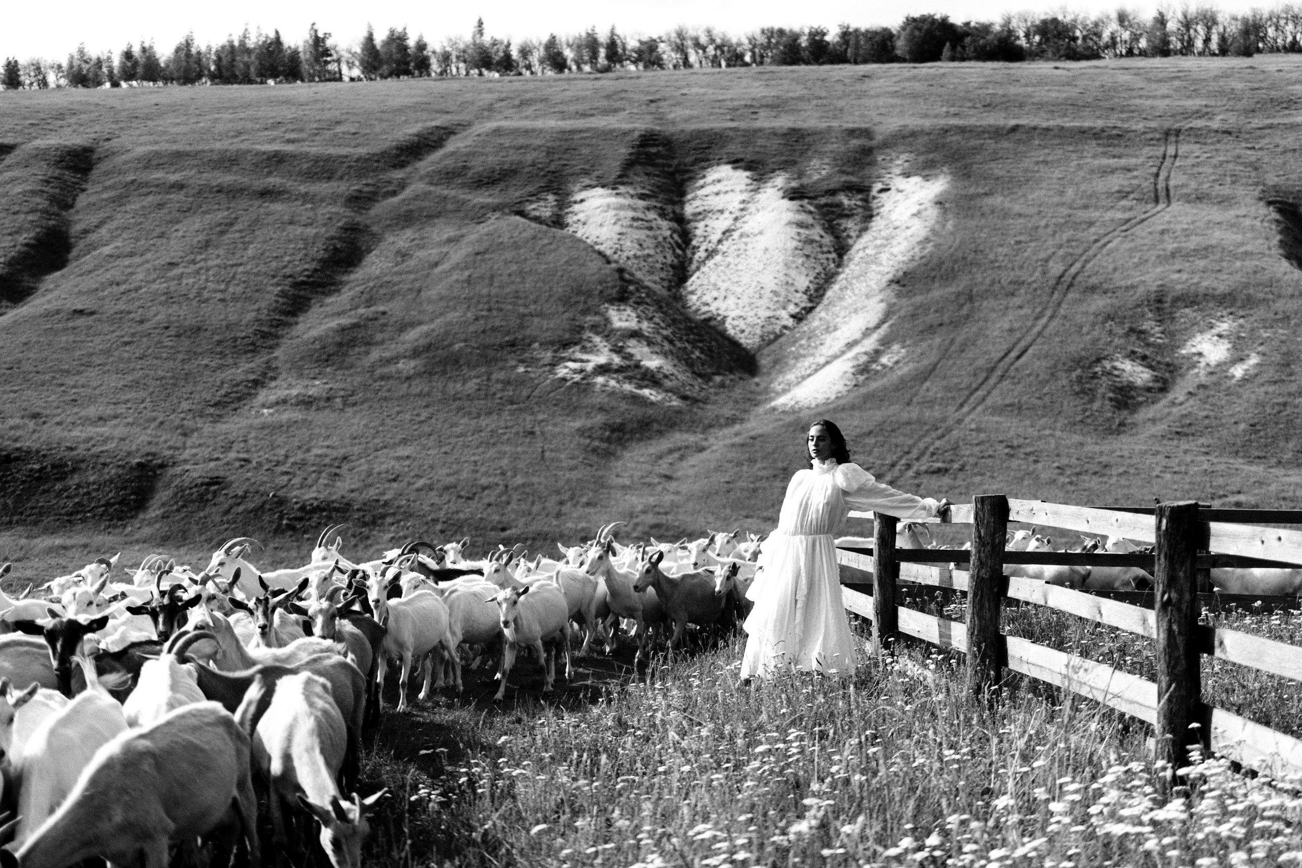 Freedom. Фотограф Шалаева Александра
