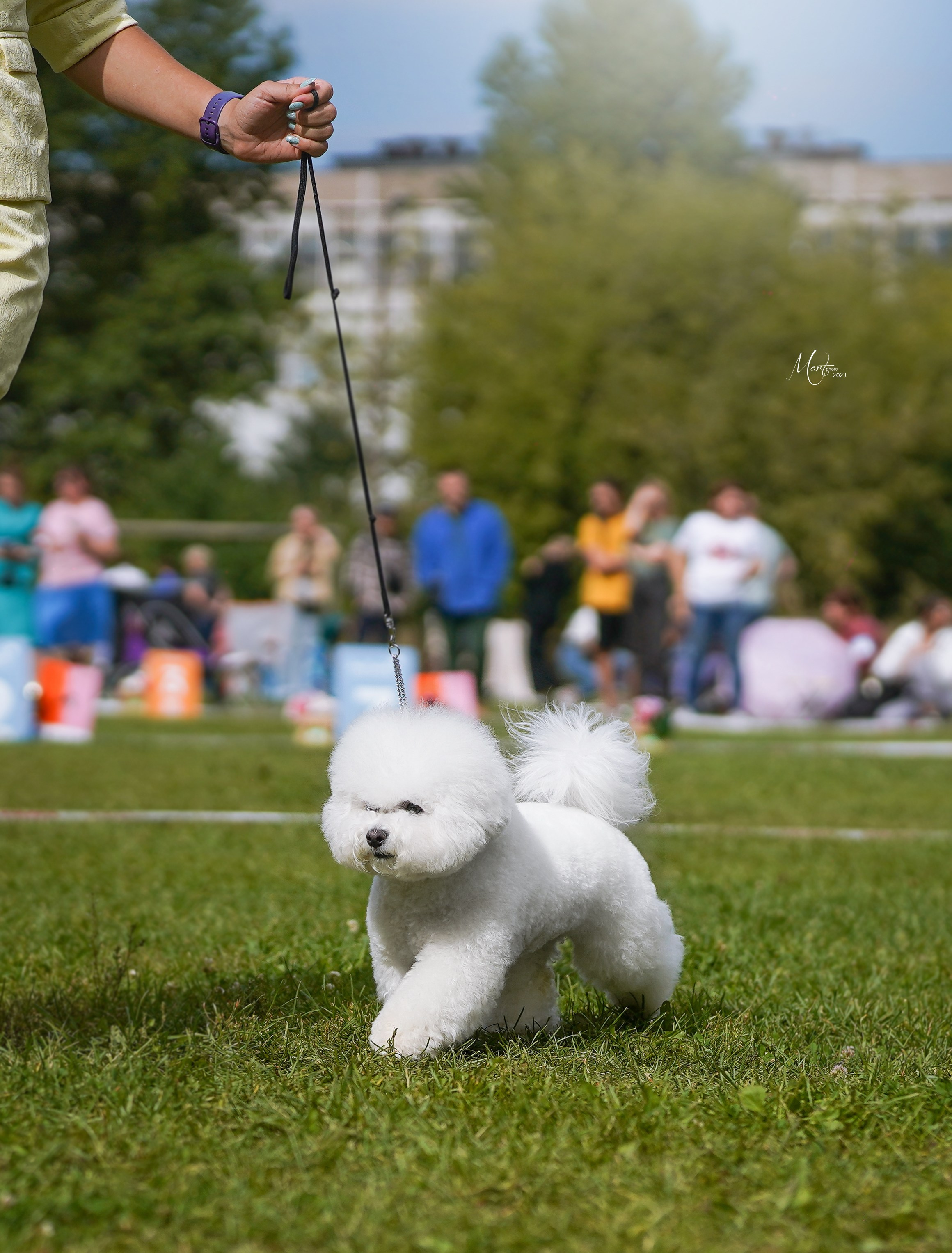 Выставки 2023. Фотограф-анималист в Санкт-Петербурге Яна Мартынова