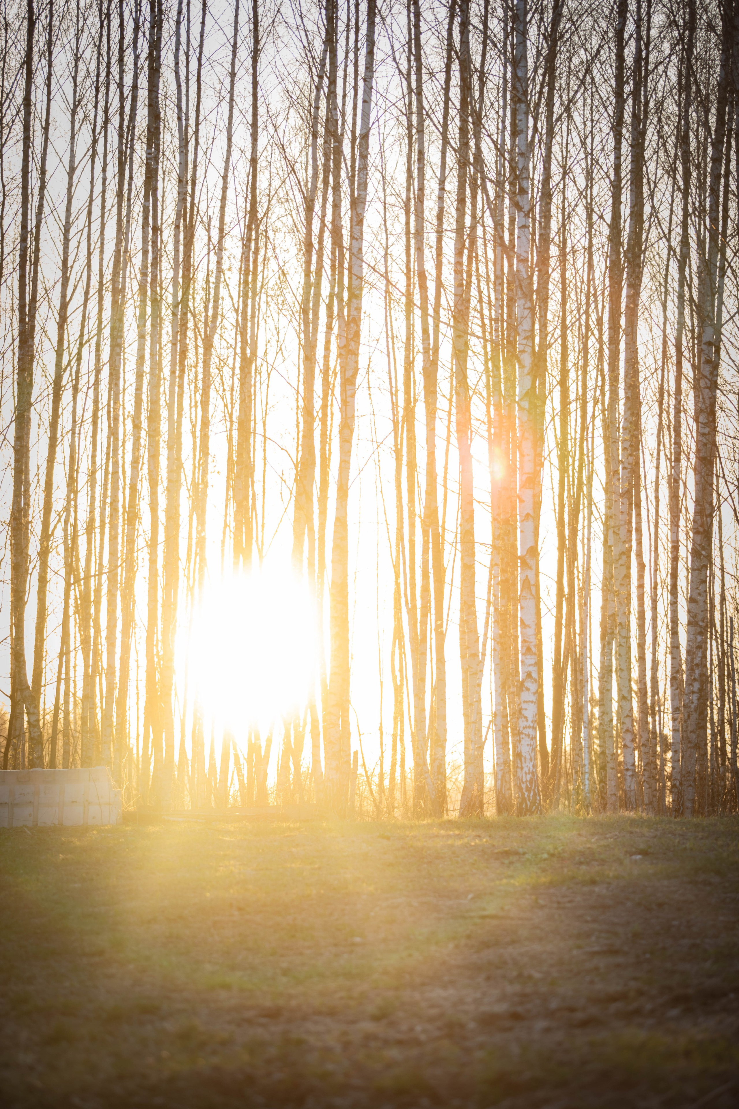 Open Band trail «Мгла». Александра Мельниченко/ Бегающий фотограф