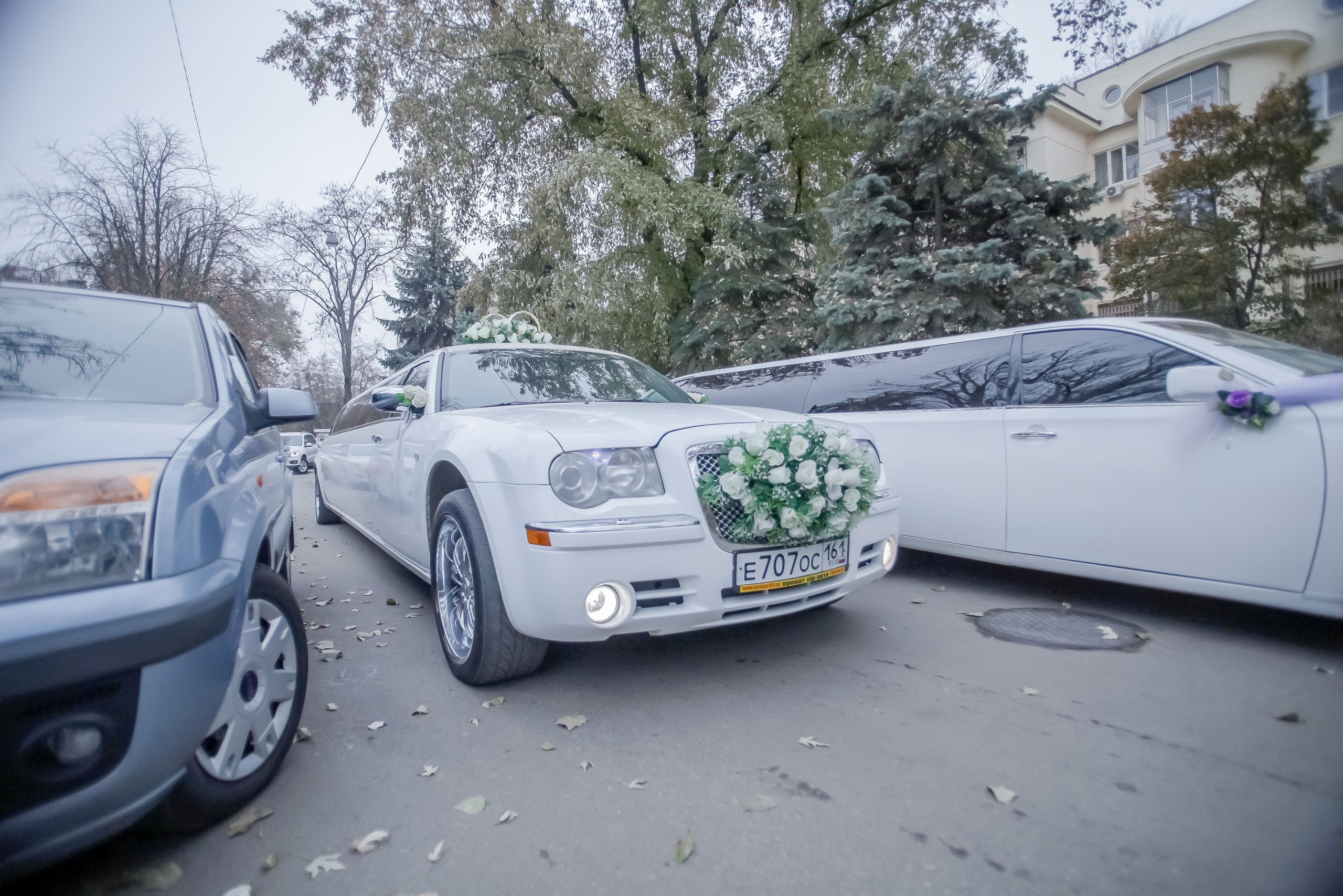 Регистрация/Register. Максим Матвийченко и Виктория Басова профессионалы своего дела