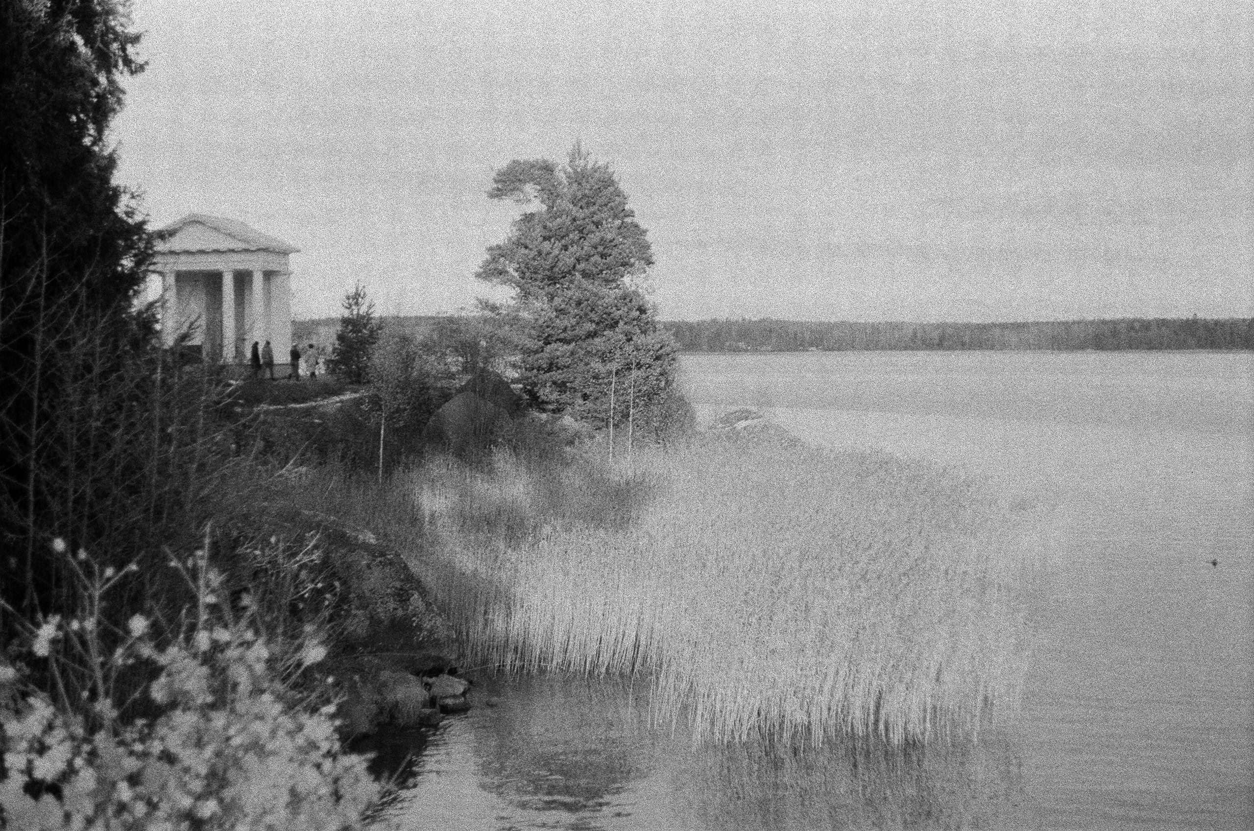 Натура. Фотограф — Маслеников Константин