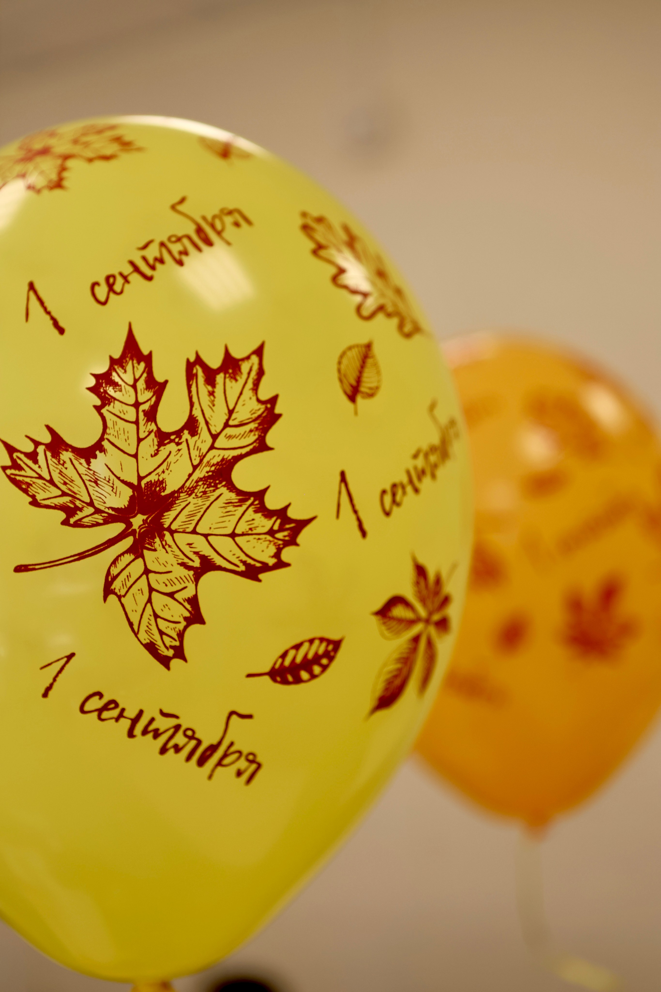 Первое сентября. Фотограф в Курске Смирнов Евгений