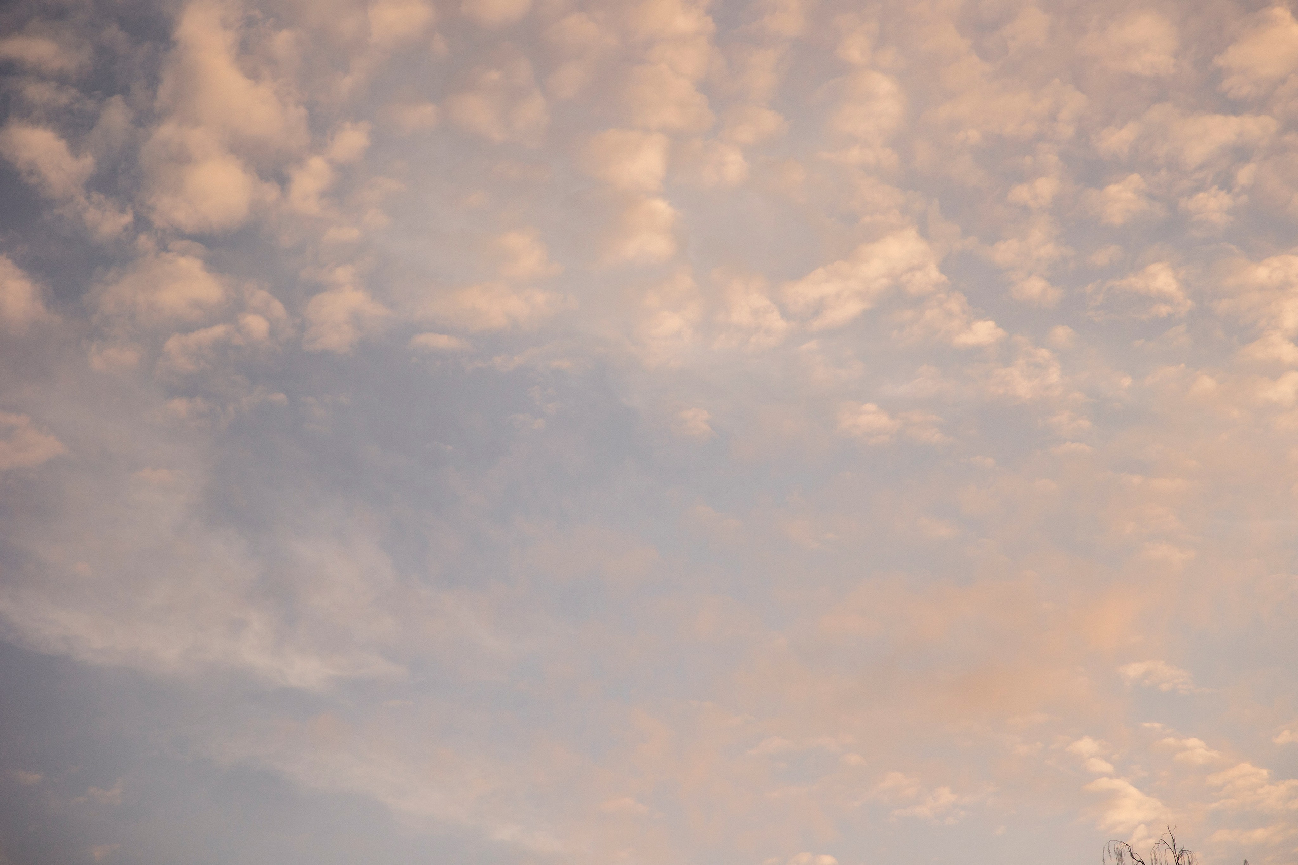 K & N. Свадебный фотограф в Санкт-Петербурге Настасья Север