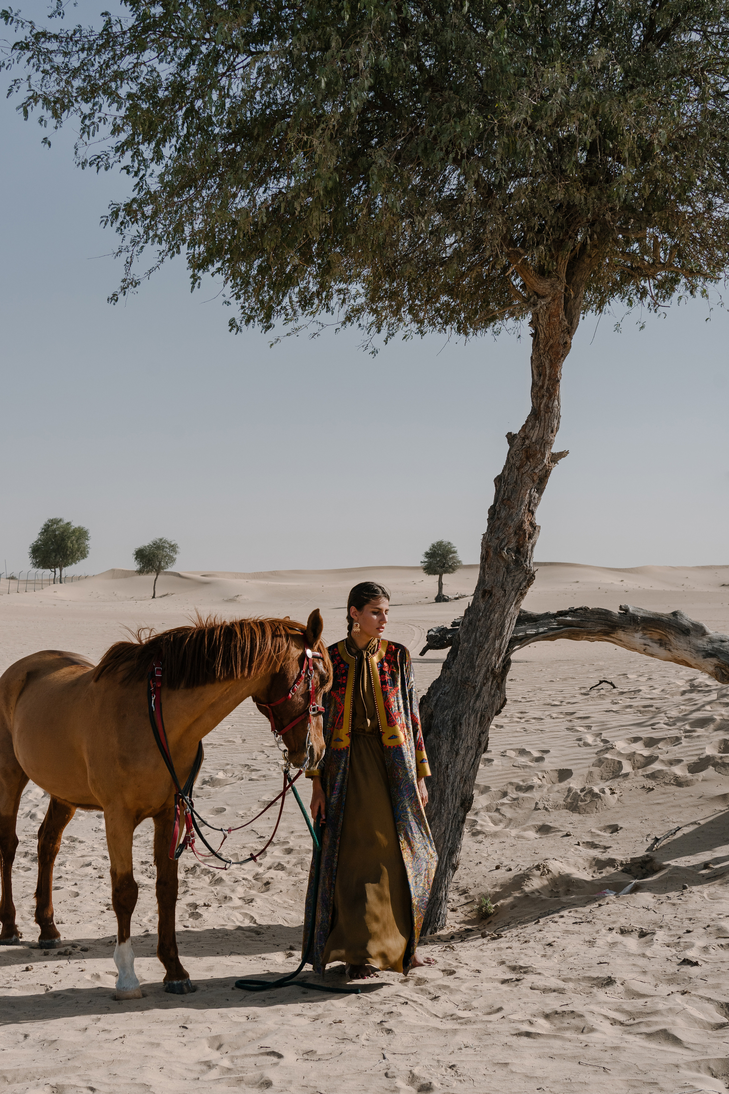 Dikochi. Photographer Yana Kotova