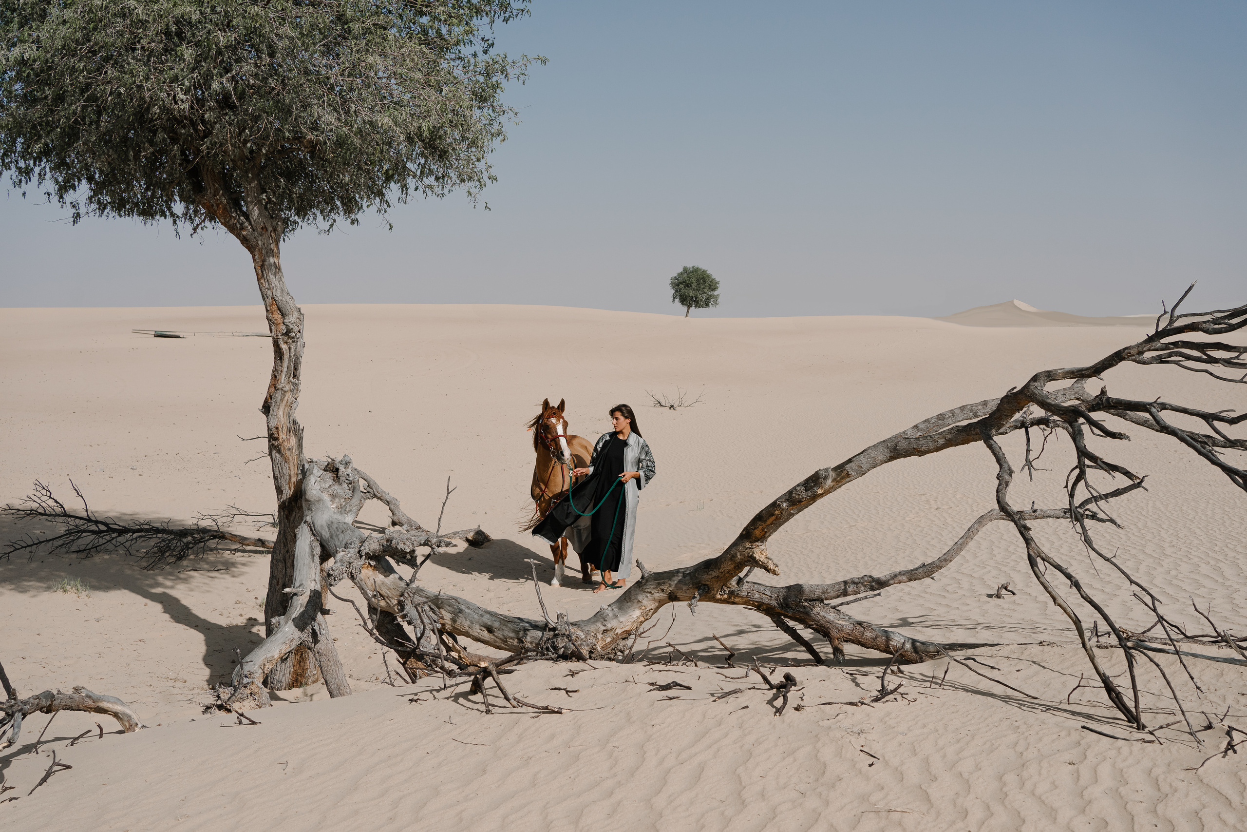 Dikochi. Photographer Yana Kotova