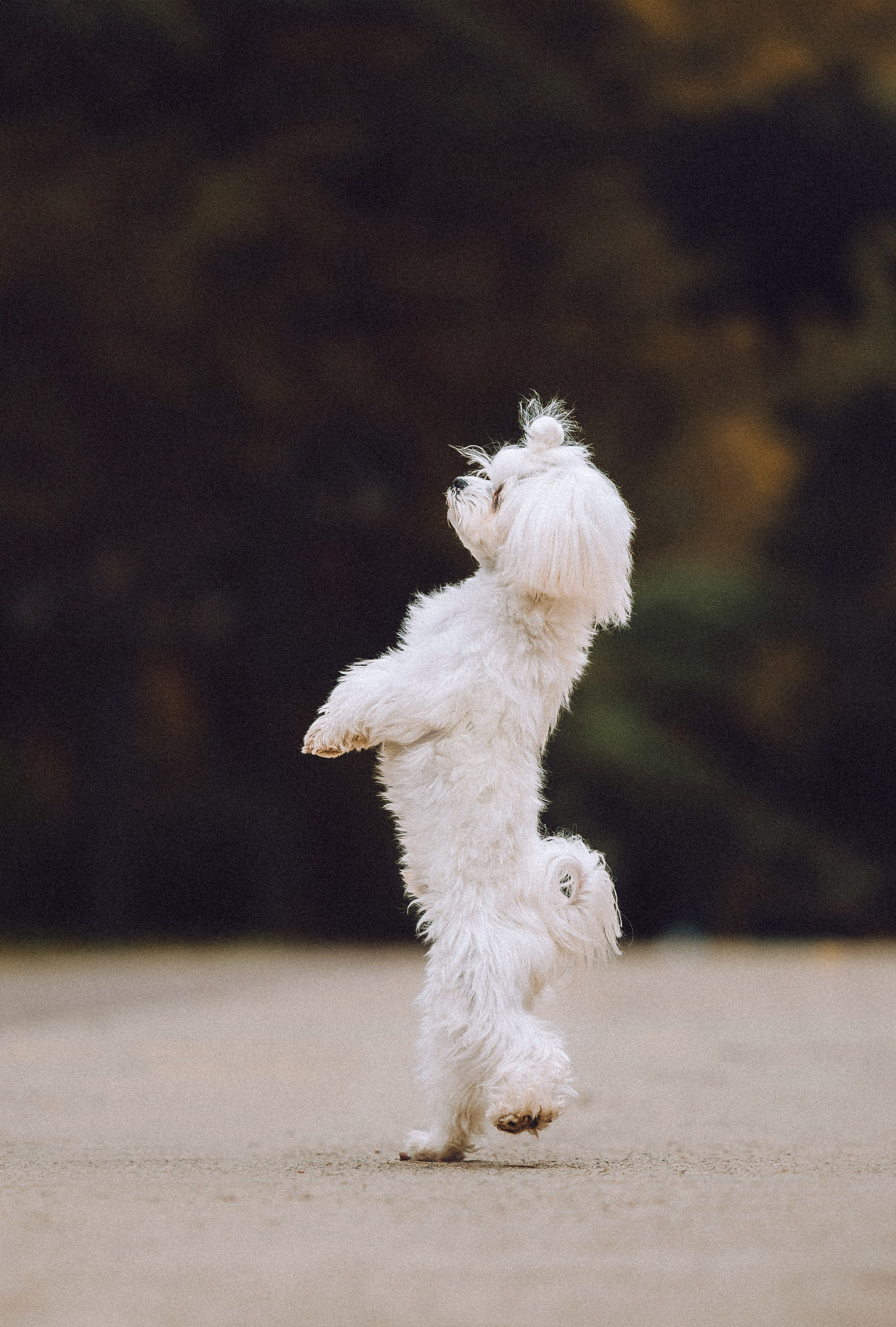 Настя и Гоша