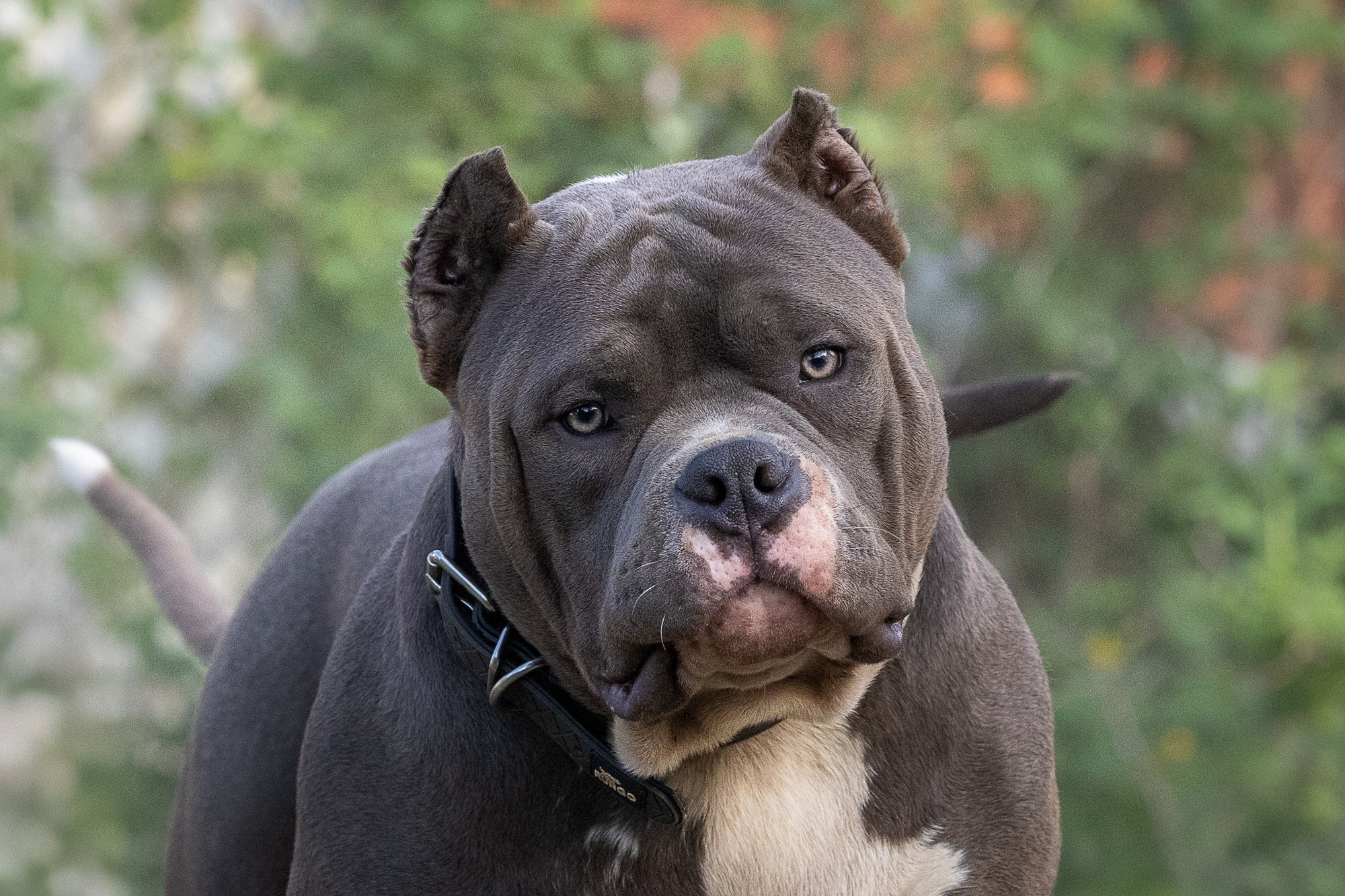 Курсы на фотографа-анималиста