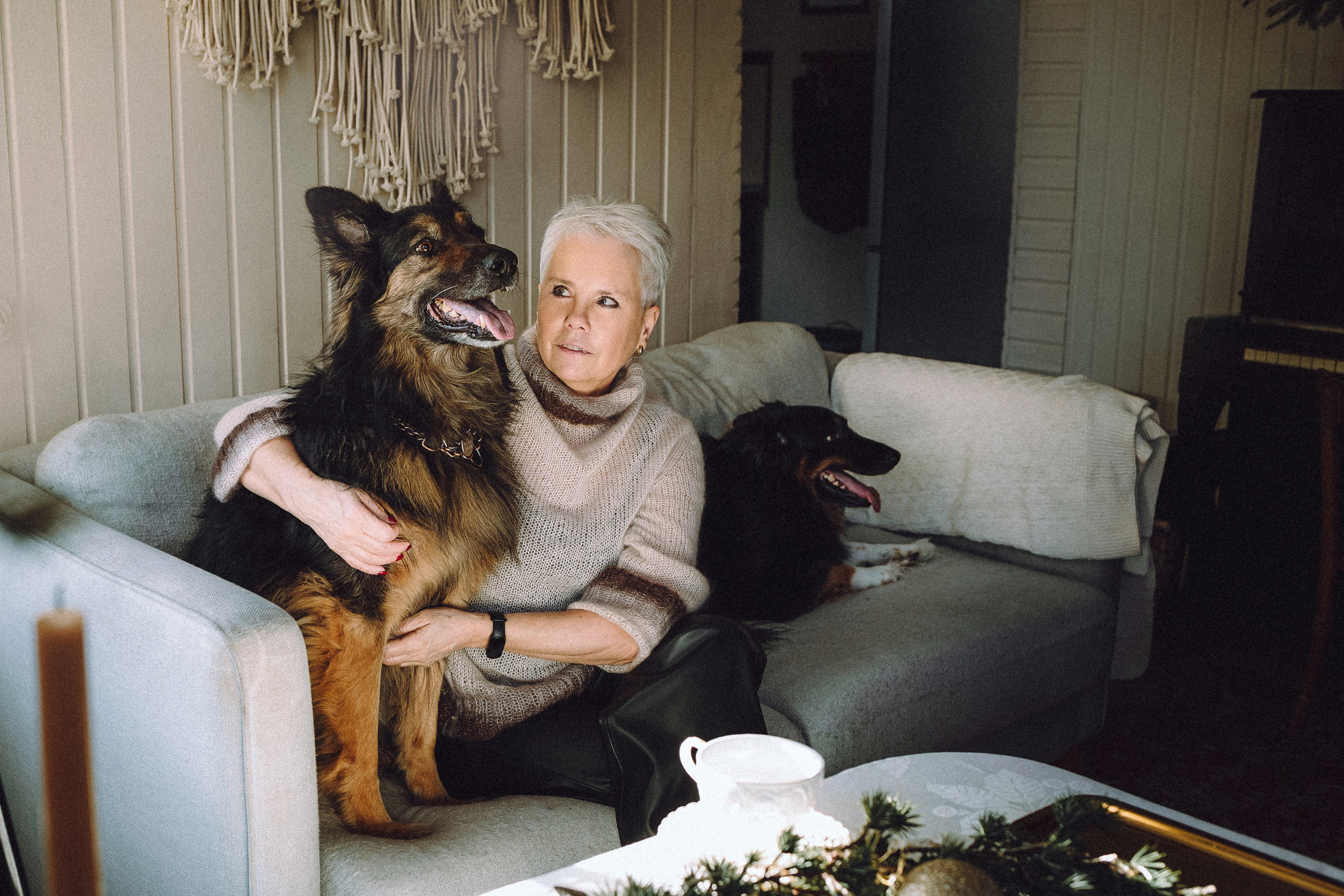 Плюш, Айса и их семья