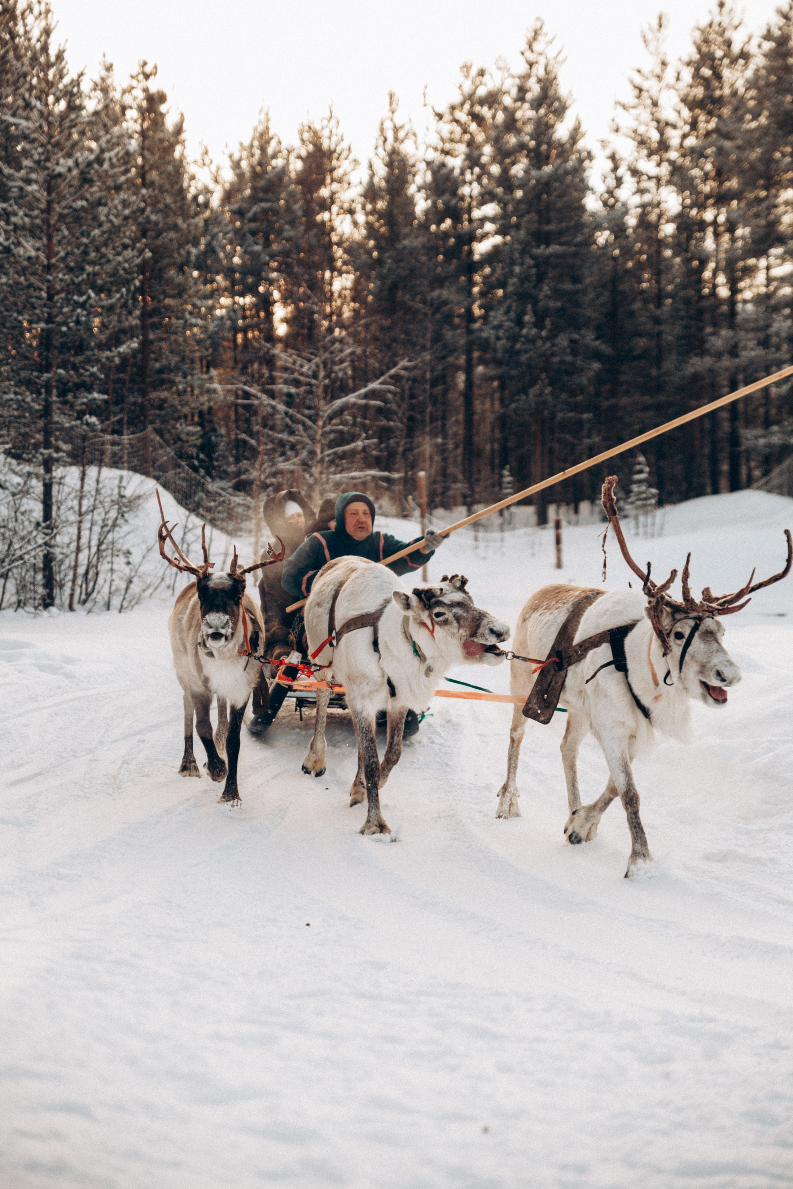 Териберка 2025. Репортажный и детский фотограф в Минске