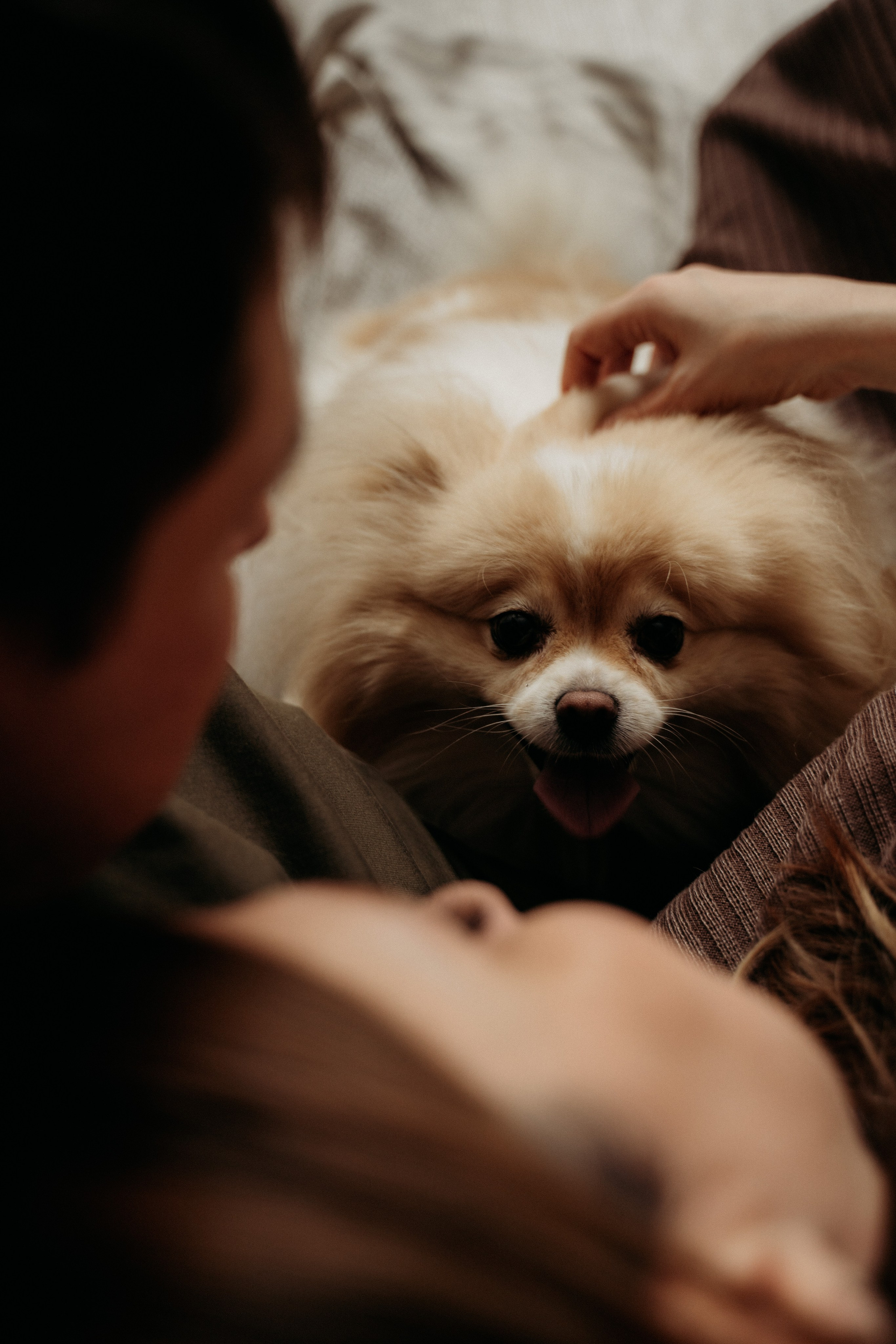 Семья на кухне