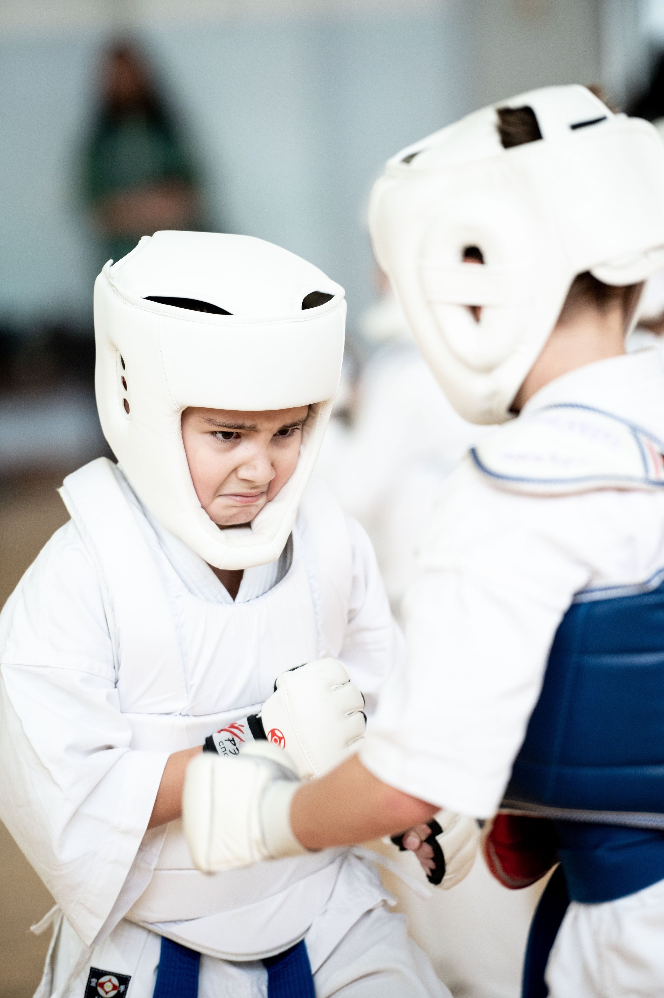 МК карате. Октябрь, 2023. Спортивный фотограф в Туле и Тульской области. Файсханова Фото Спорт